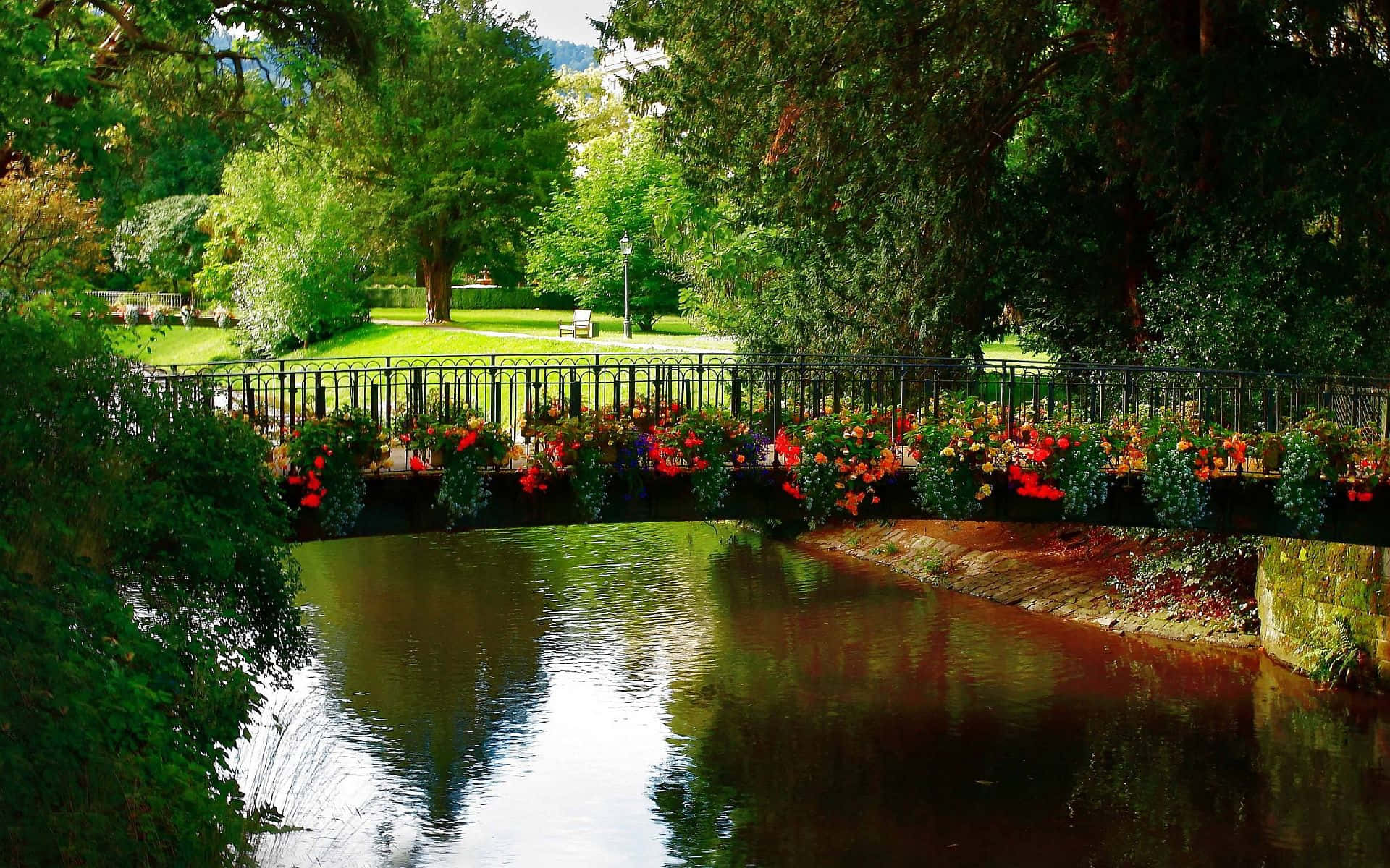 Spring Park, garden bridge, vibrant red and orange flowers, Full HD Desktop Wallpaper