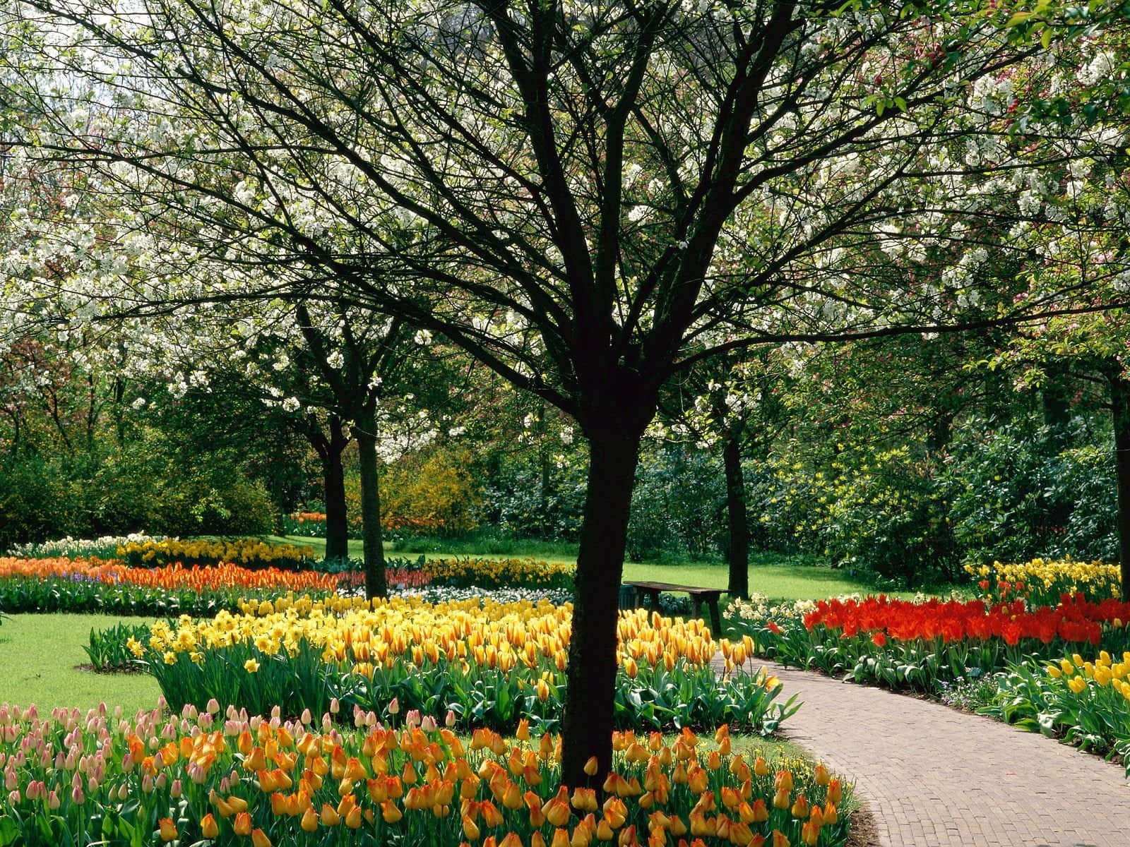 Spring Park, winding brick path, vibrant garden, HD Desktop Wallpaper