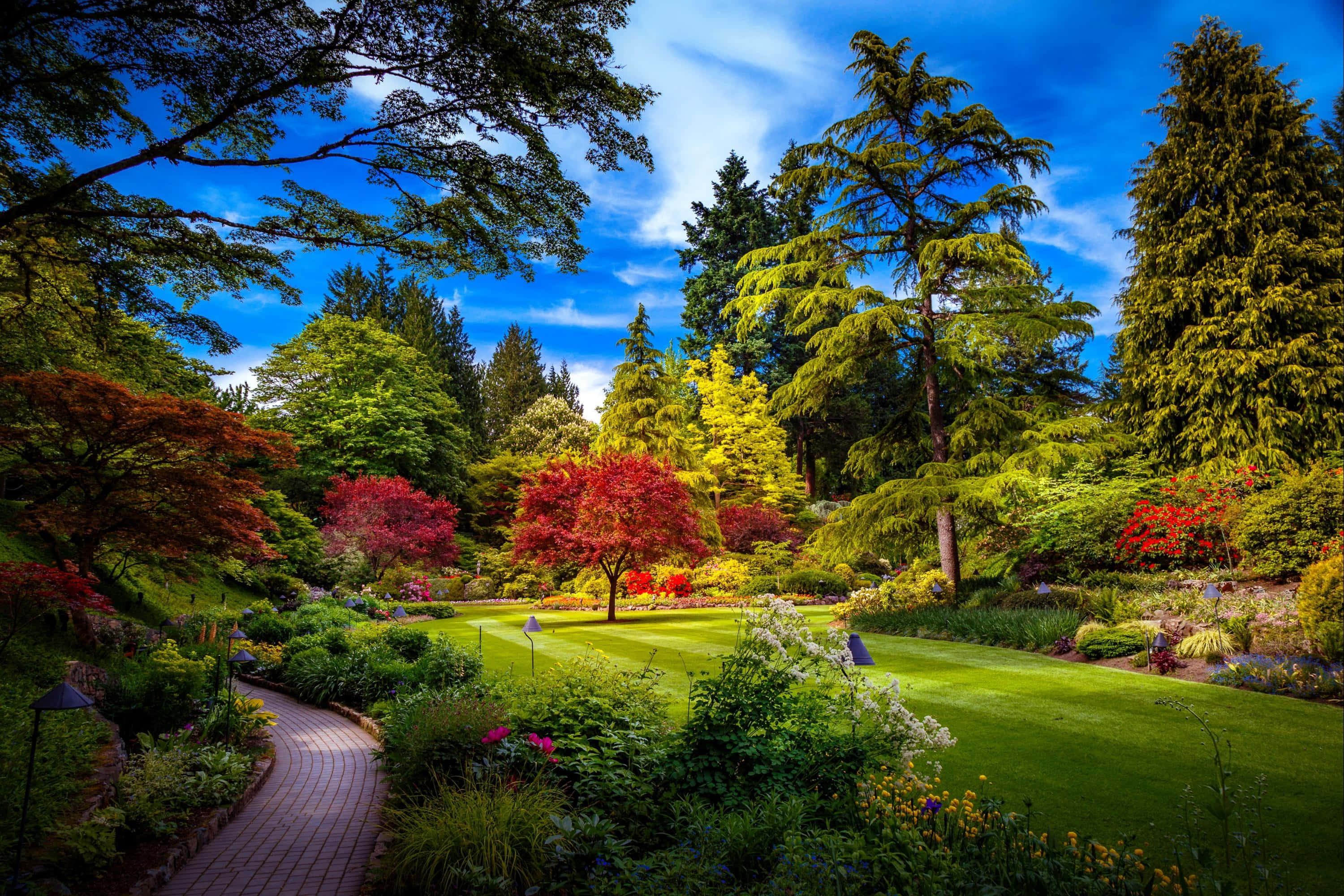 Spring Park, red maple trees, green lawns, 2K Desktop Wallpaper