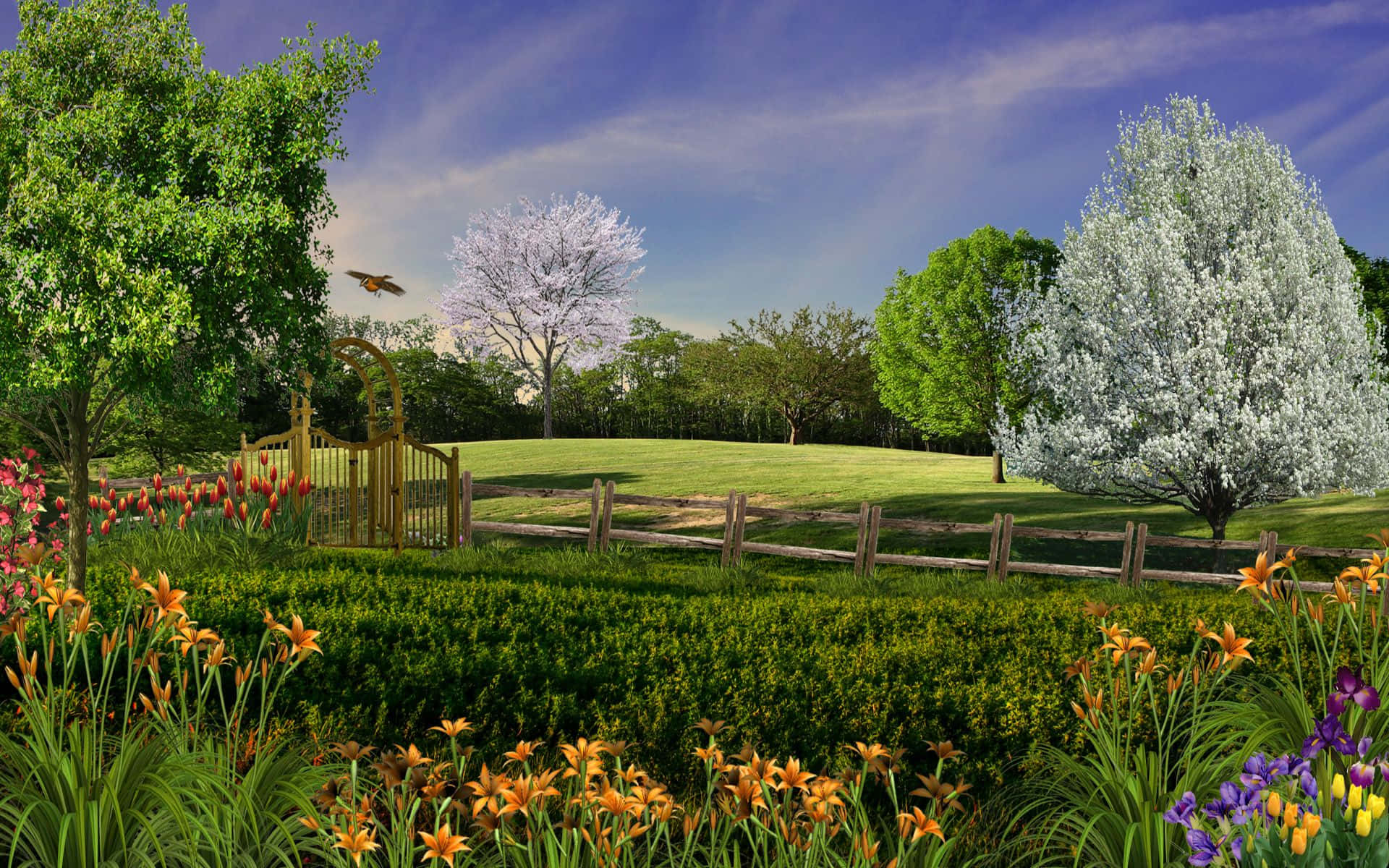 Spring Park, orange lilies, purple flowers, Full HD Desktop Wallpaper