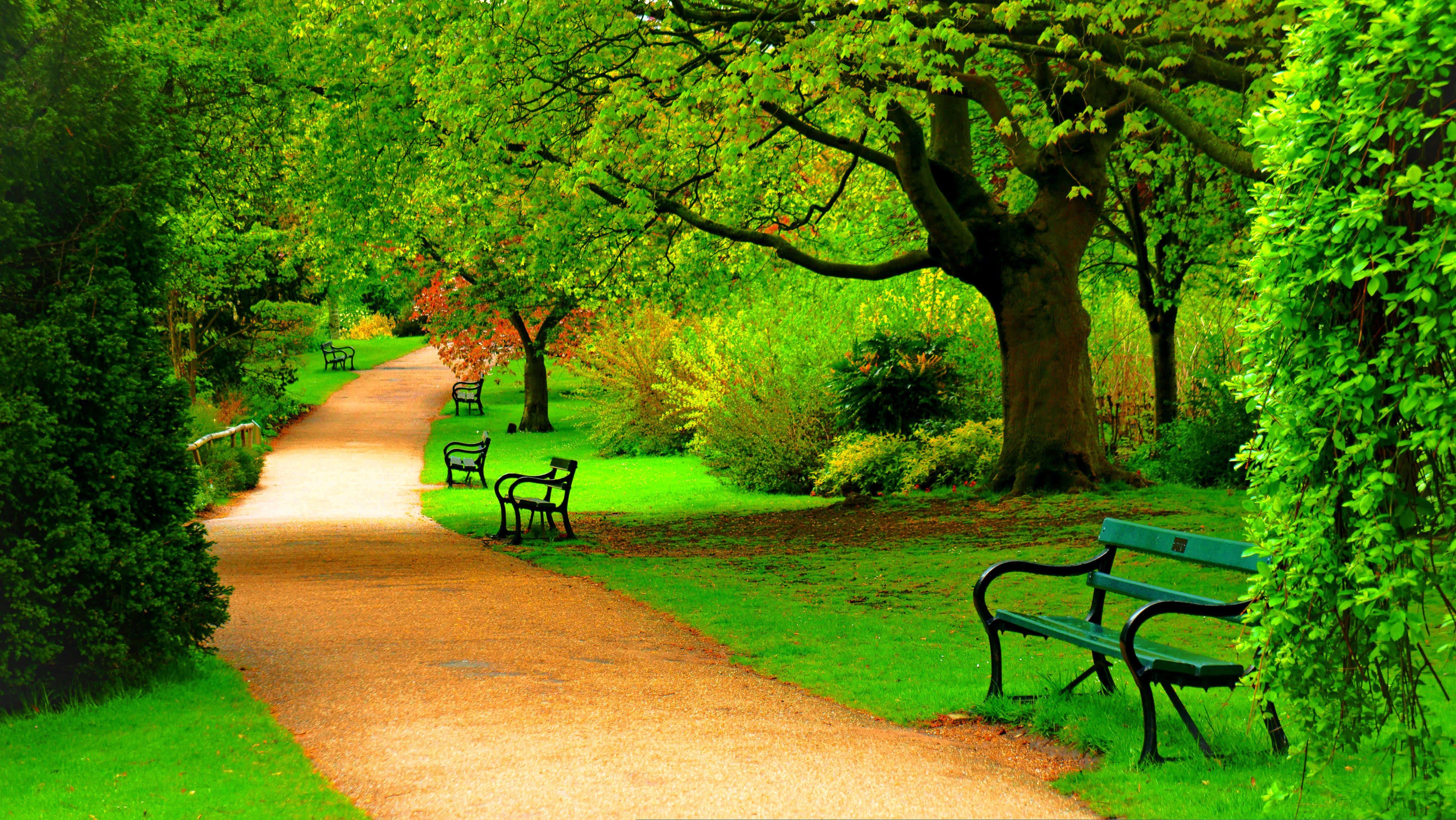 Spring Park, gravel path, lush green park, 4K Desktop Wallpaper