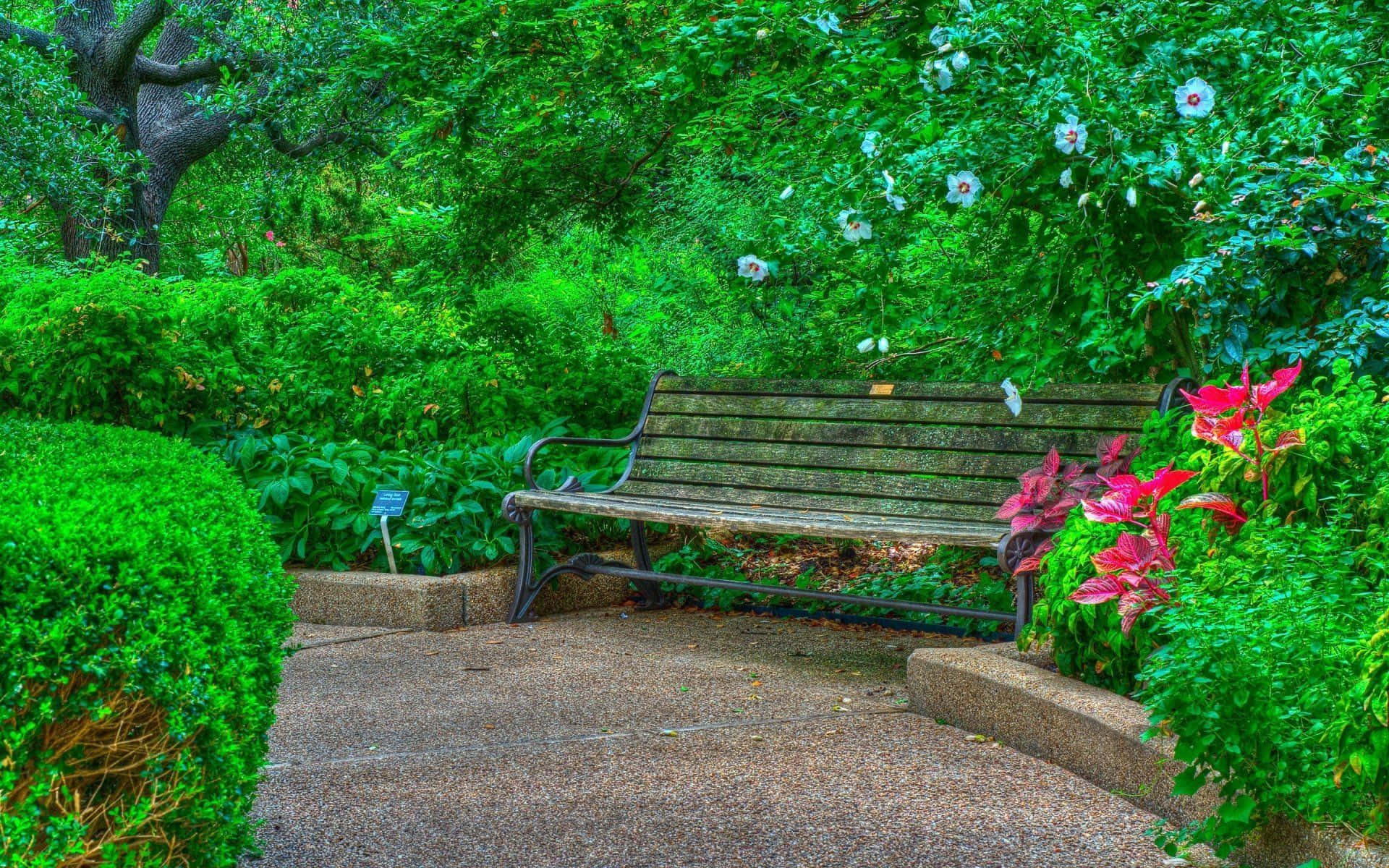 Spring Park, wooden bench, lush garden, Full HD Desktop Wallpaper