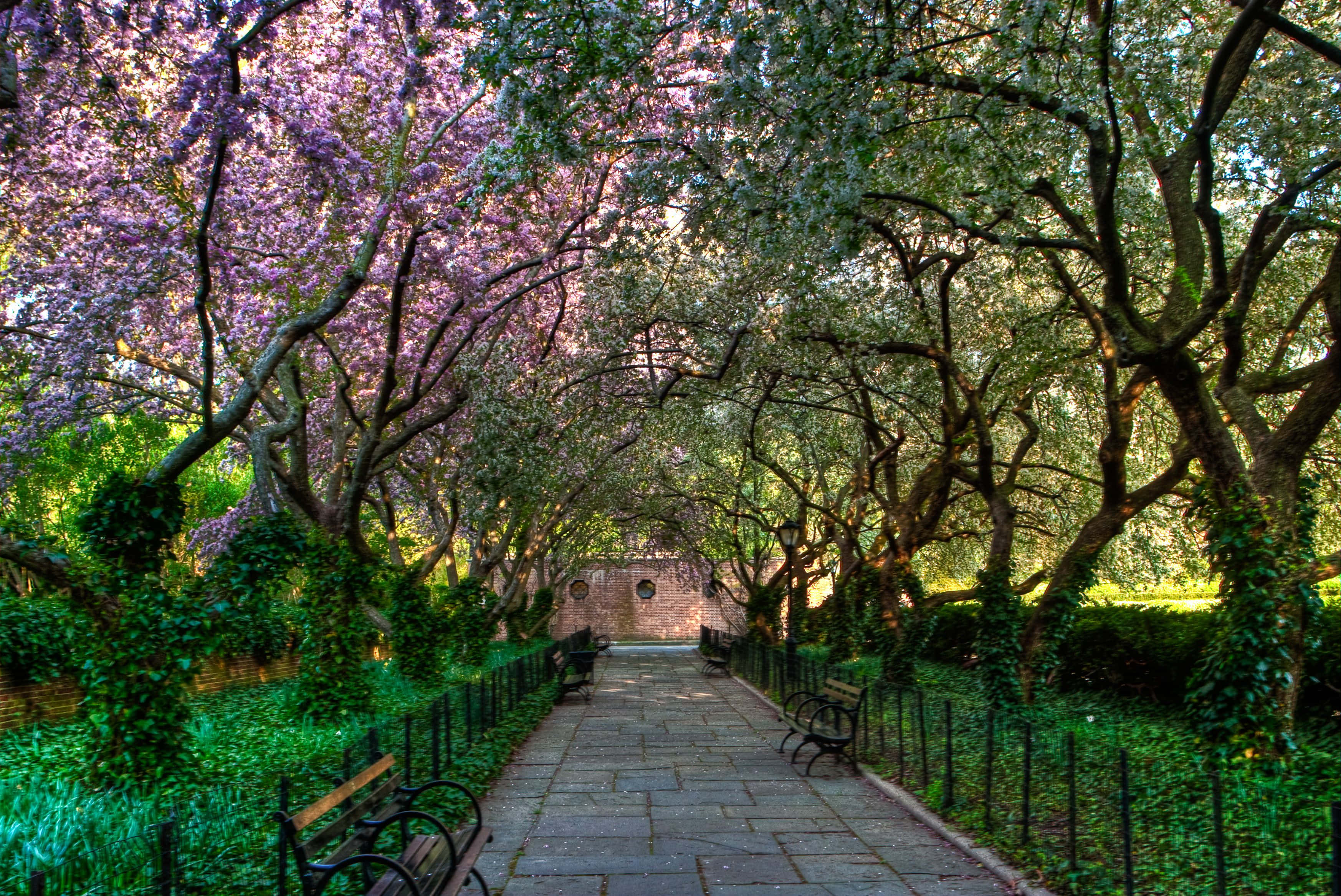 Spring Park, stone path, lush garden canopy, 2K Desktop Wallpaper