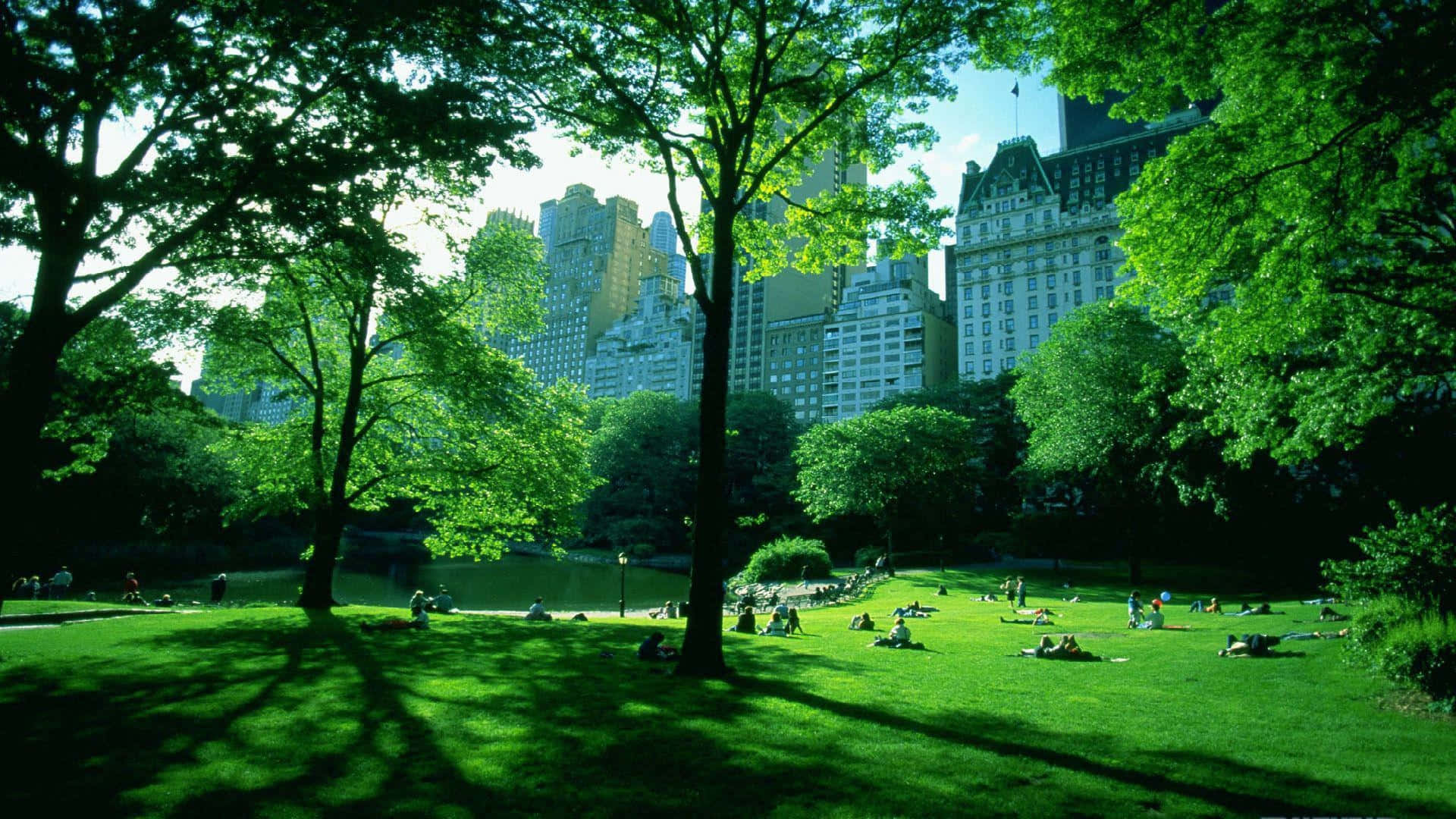 Spring Park, dusk, lush green park, Full HD Desktop Wallpaper