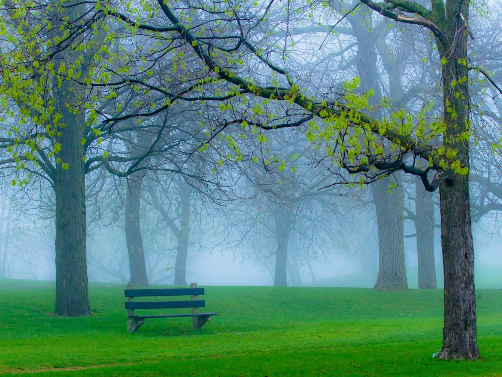 Spring Park, green bench, misty spring park, HD Desktop Wallpaper