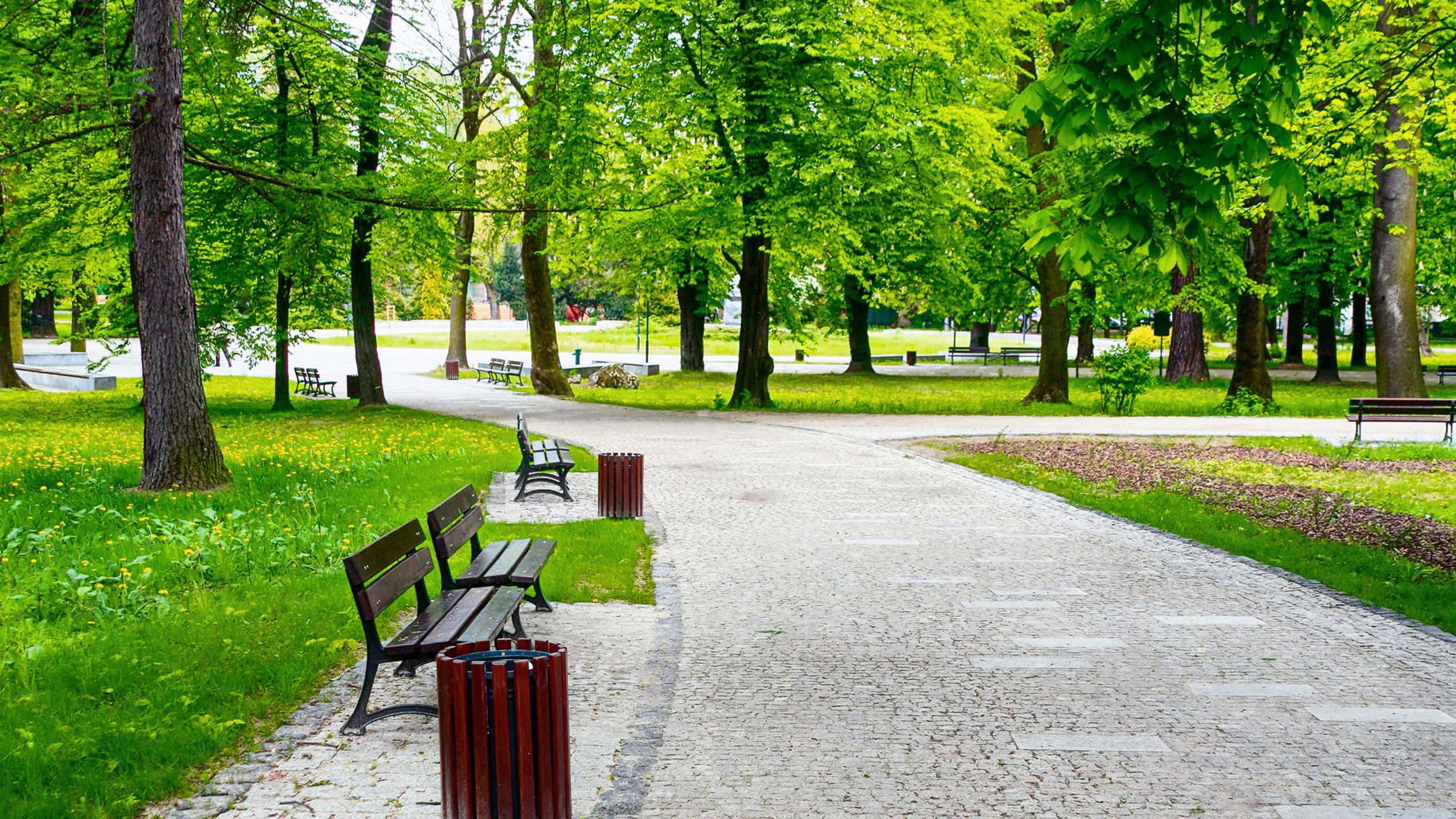 Spring Park, cobblestone path, lush green park, 2K Desktop Wallpaper