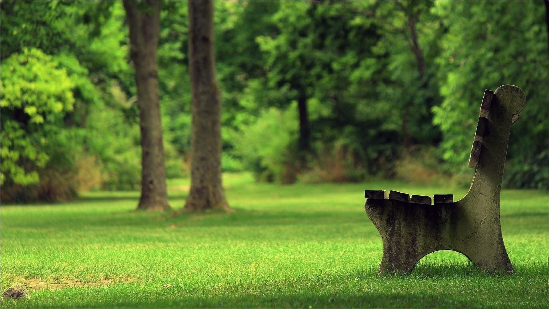 Spring Park, stone bench, vibrant green grass, Full HD Desktop Wallpaper