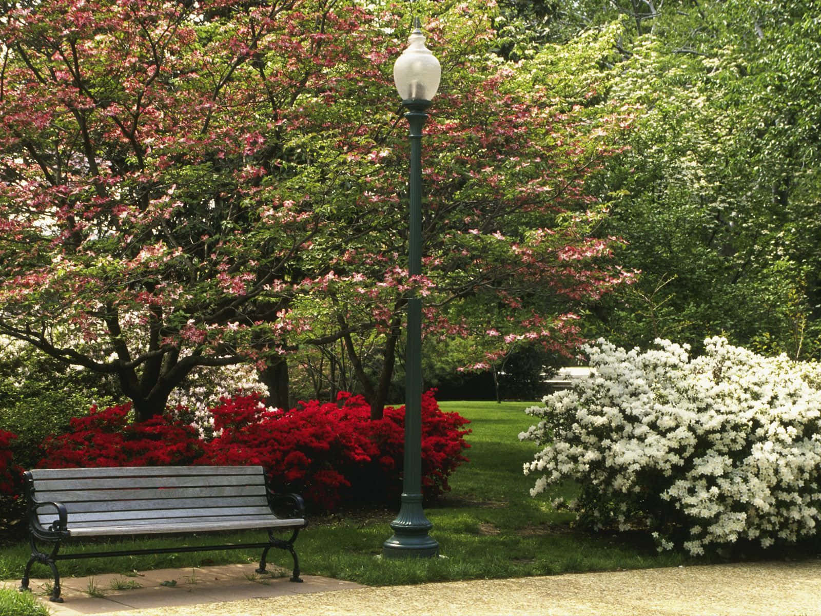 Spring Park, wooden bench, lamppost, HD Desktop Wallpaper