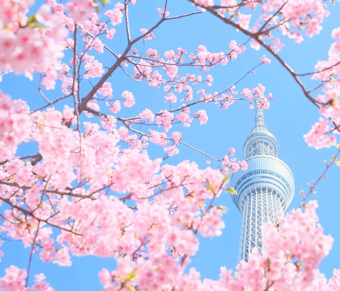 Spring Pastel