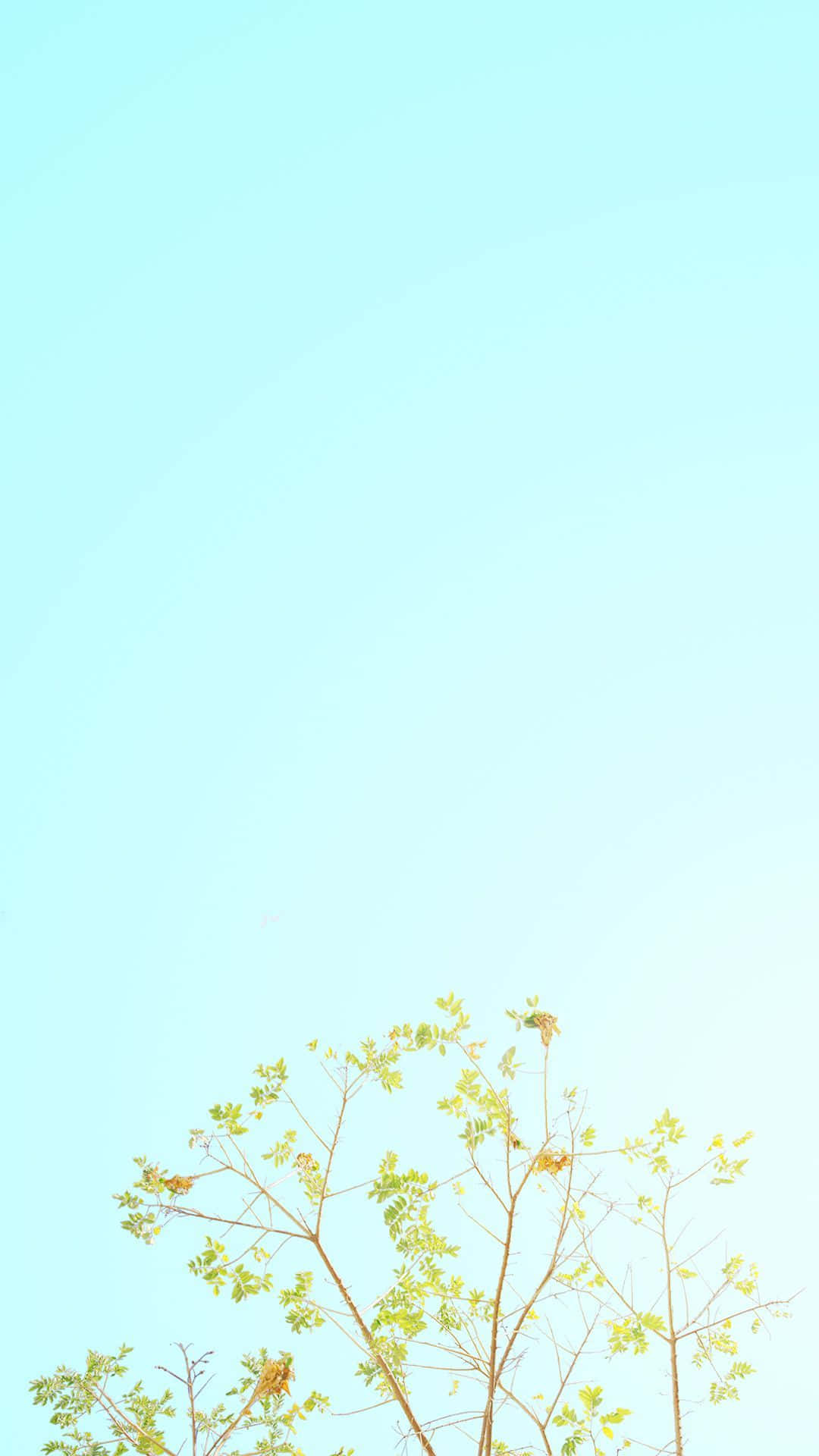 Spring Pastel, pale blue, white, Full HD Phone Wallpaper