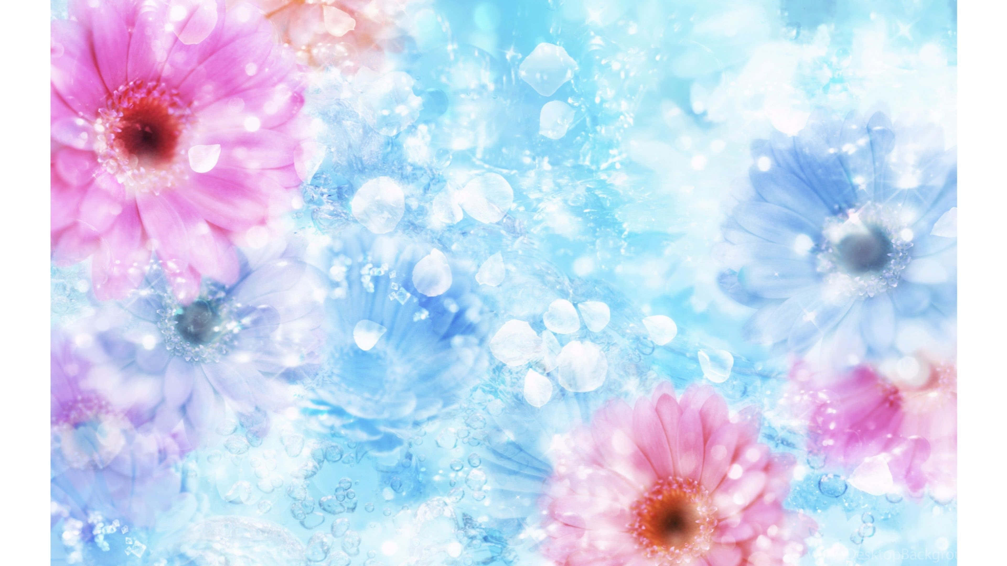 Spring Pastel, pink and blue gerbera daisies, sparkling bubbles, 4K Desktop Wallpaper