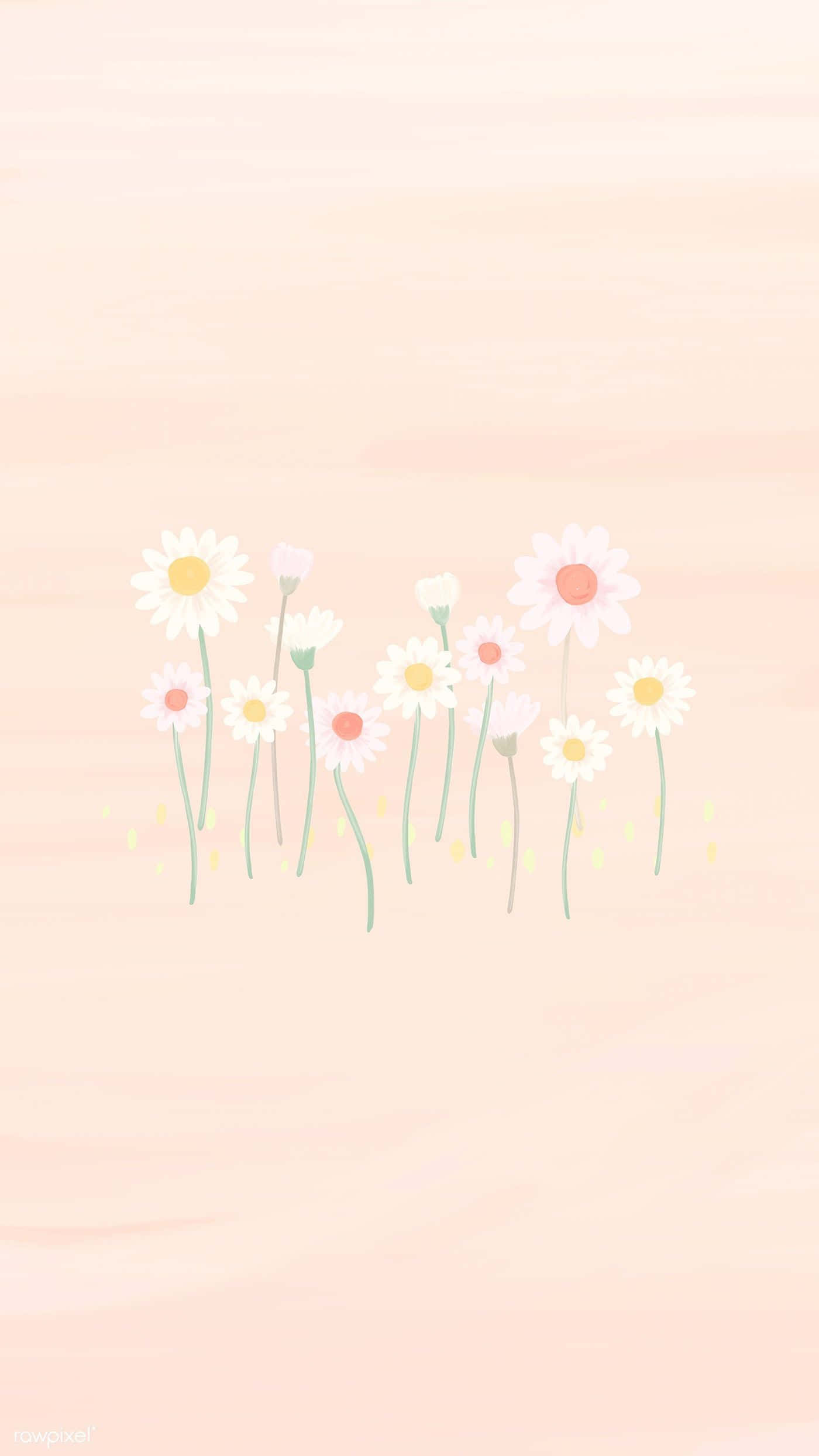 spring pastel, daisies, yellow centers, Full HD Phone Wallpaper
