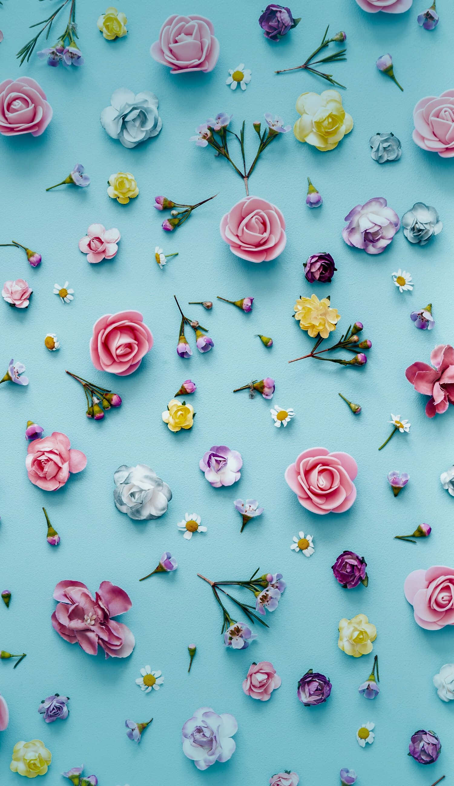 pastel flowers, pink, yellow, 2K Phone Wallpaper