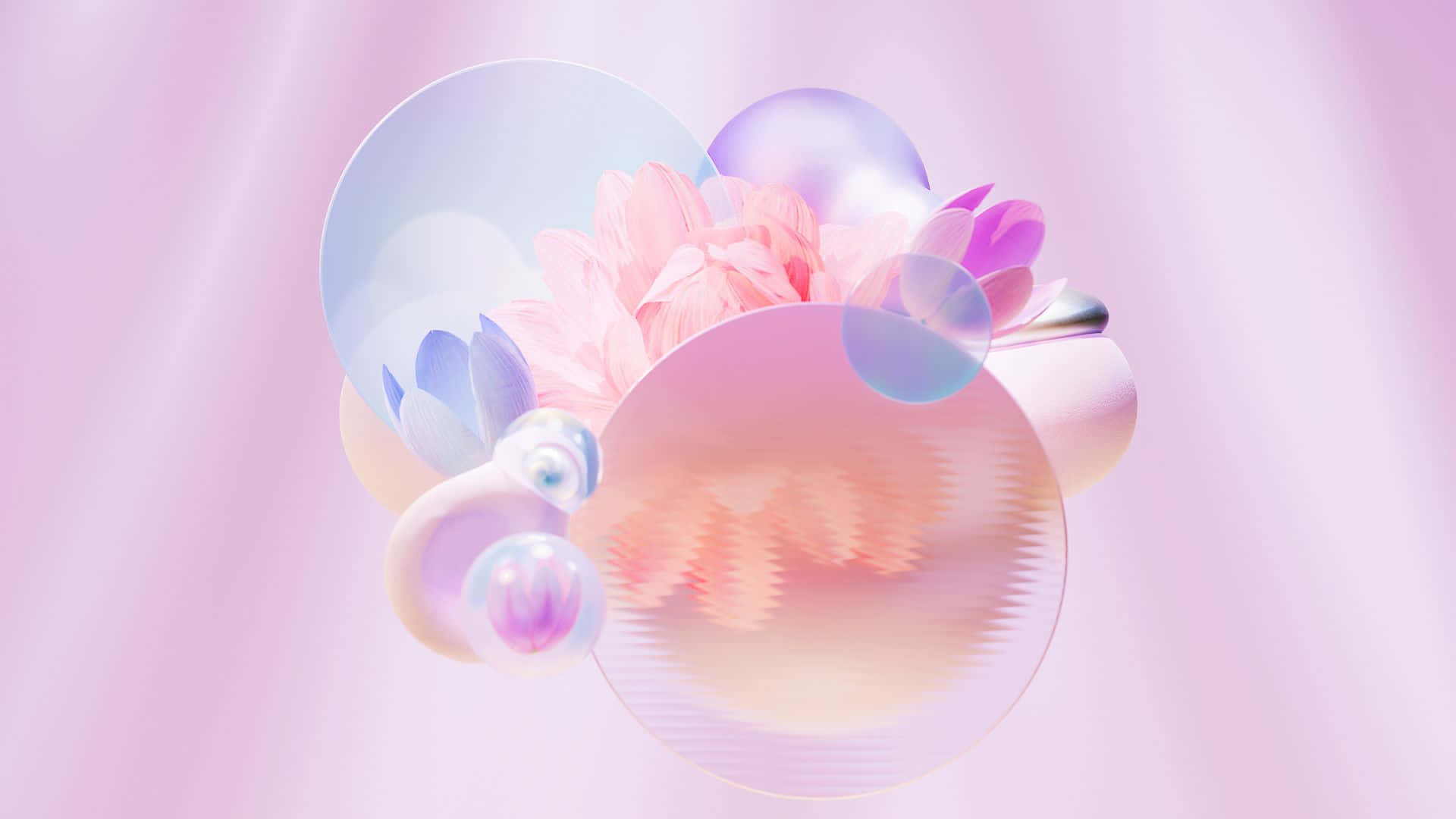 soft pink lotus, translucent spheres, iridescent bubbles, Full HD Desktop Wallpaper