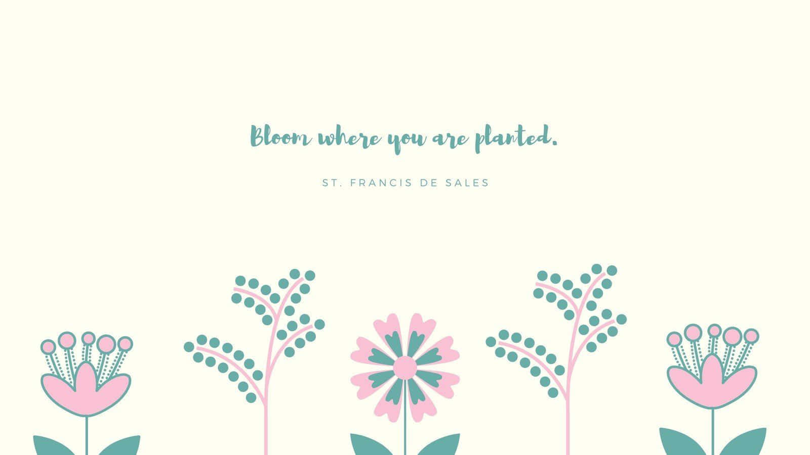 pastel pink, teal, creamy background, HD Desktop Wallpaper