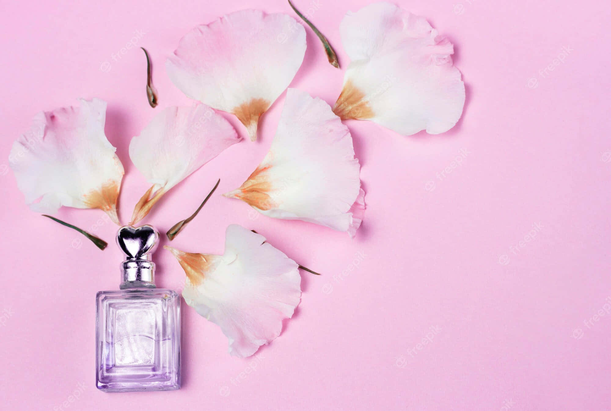 Spring Perfume, silver heart-shaped cap, pink and white flower petals, Full HD Desktop Wallpaper