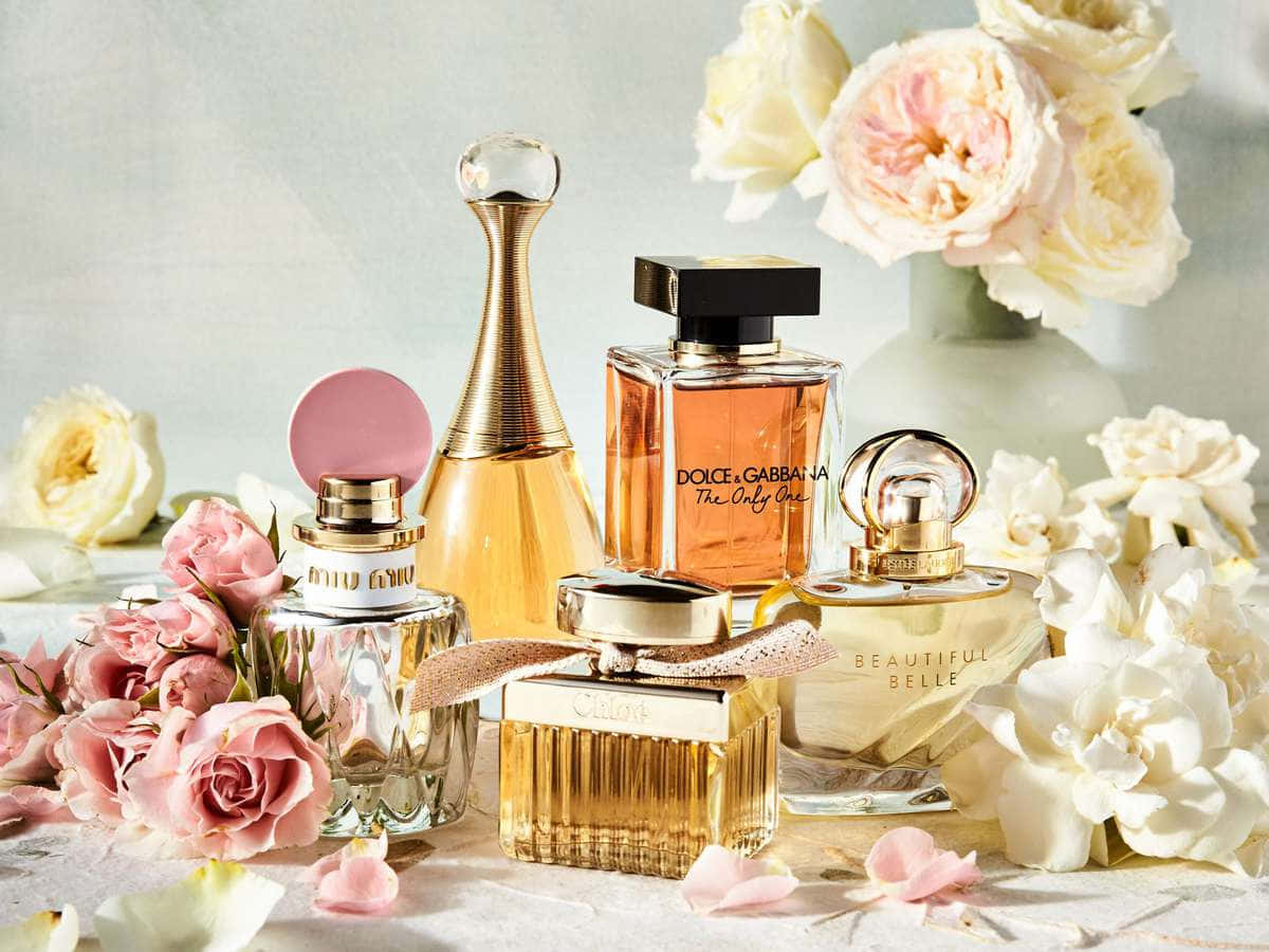 Spring Perfume, pink and white roses, luxurious perfume bottles, SD Desktop Wallpaper