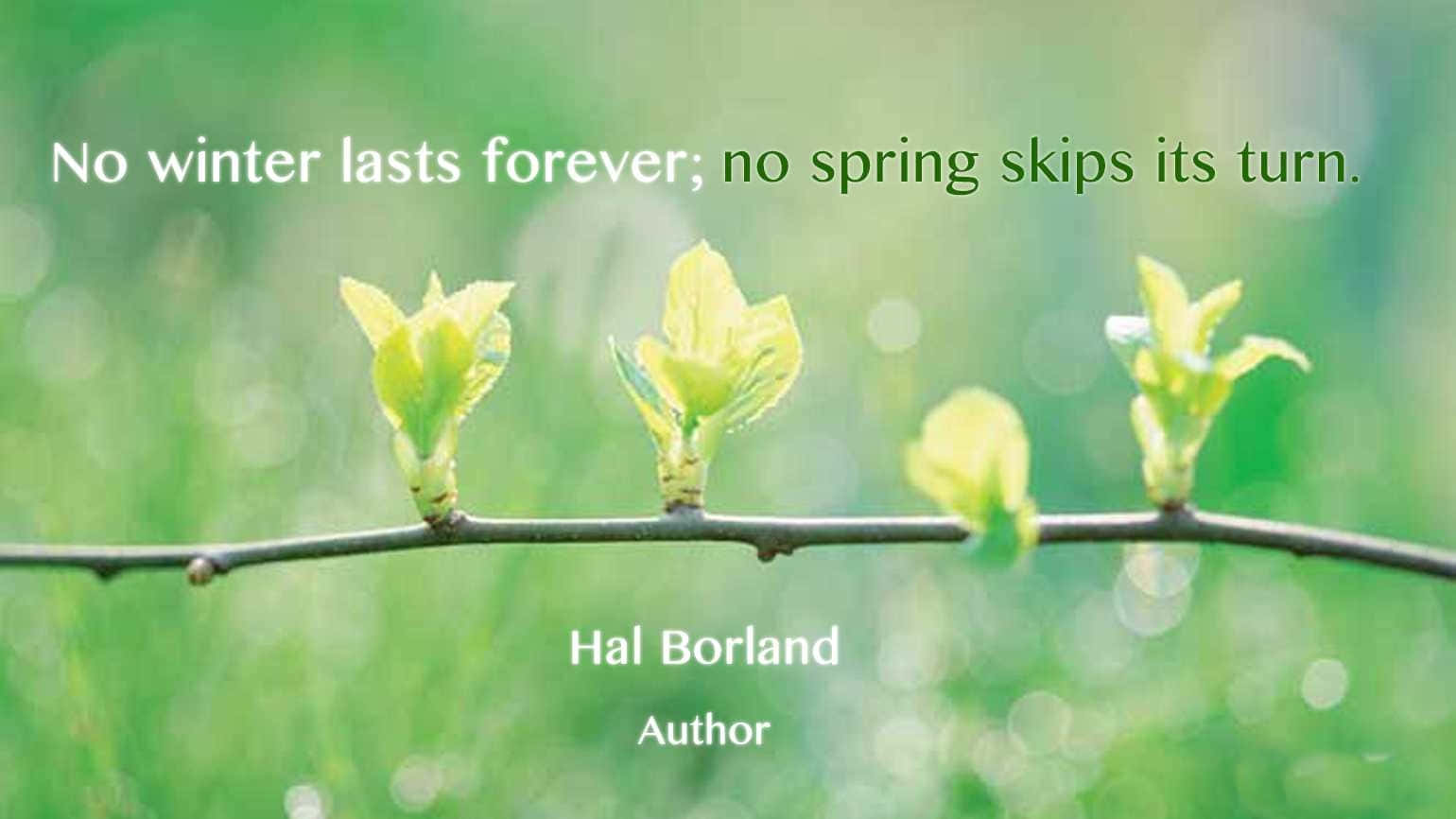 spring quotes, vibrant colors, inspiring quote, HD Desktop Wallpaper
