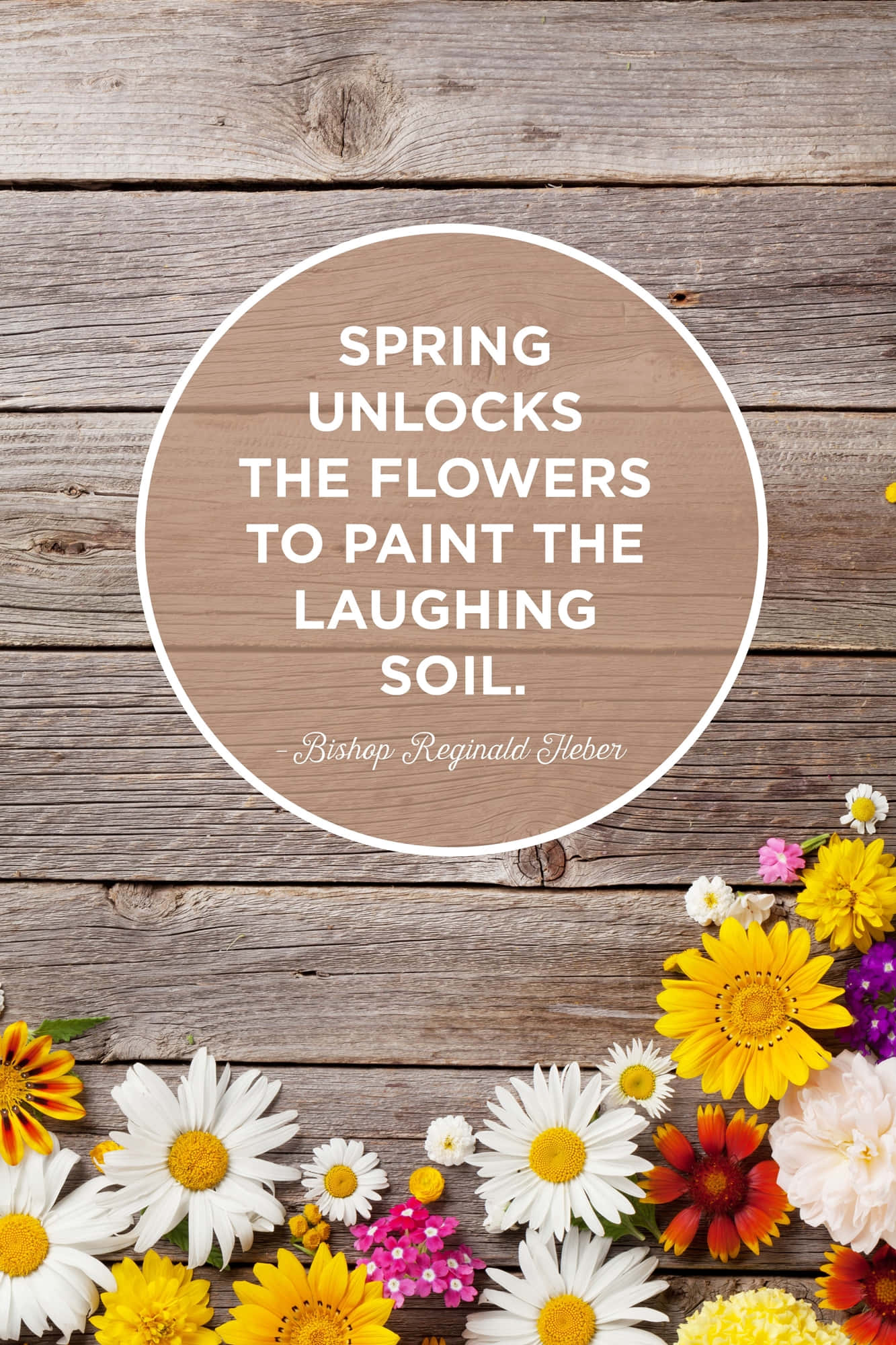 Spring Blooms, inspirational quote, yellows pinks and whites, Full HD Phone Wallpaper