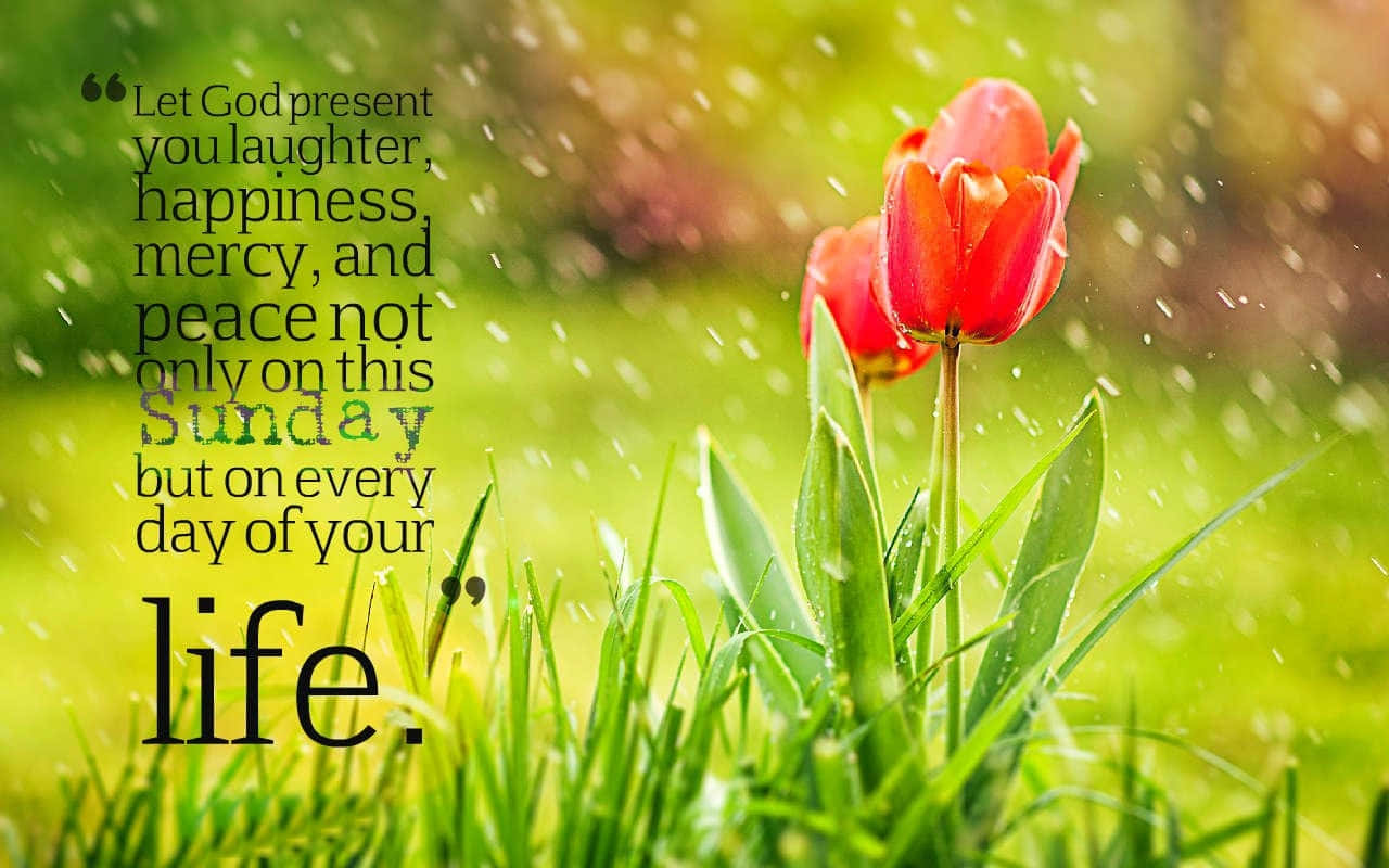 vibrant red tulips, dew-kissed green grass, soft sunlight, HD Desktop Wallpaper