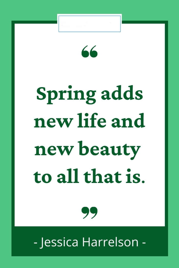 spring quotes, green clipboard, dark green text, SD Phone Wallpaper