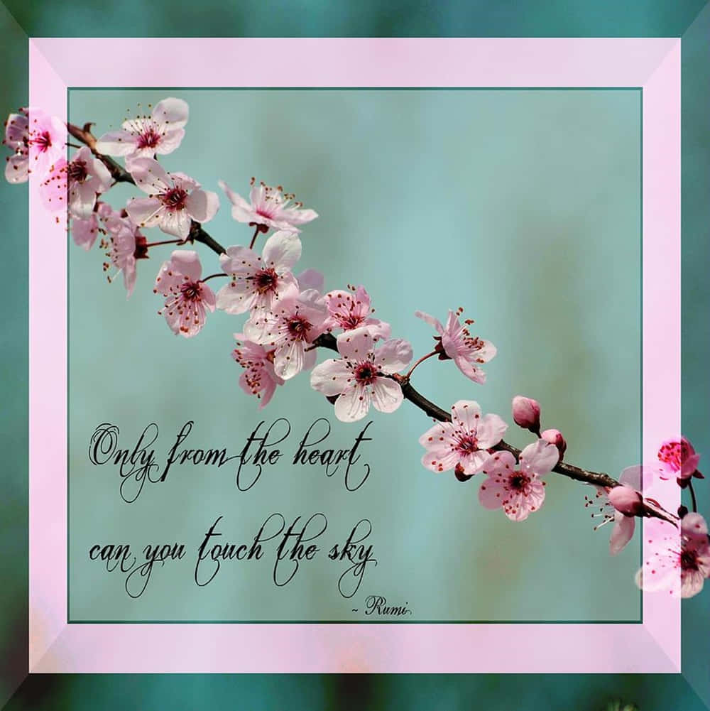 pink cherry blossoms, poetic quote, soft teal background, SD Phone Wallpaper