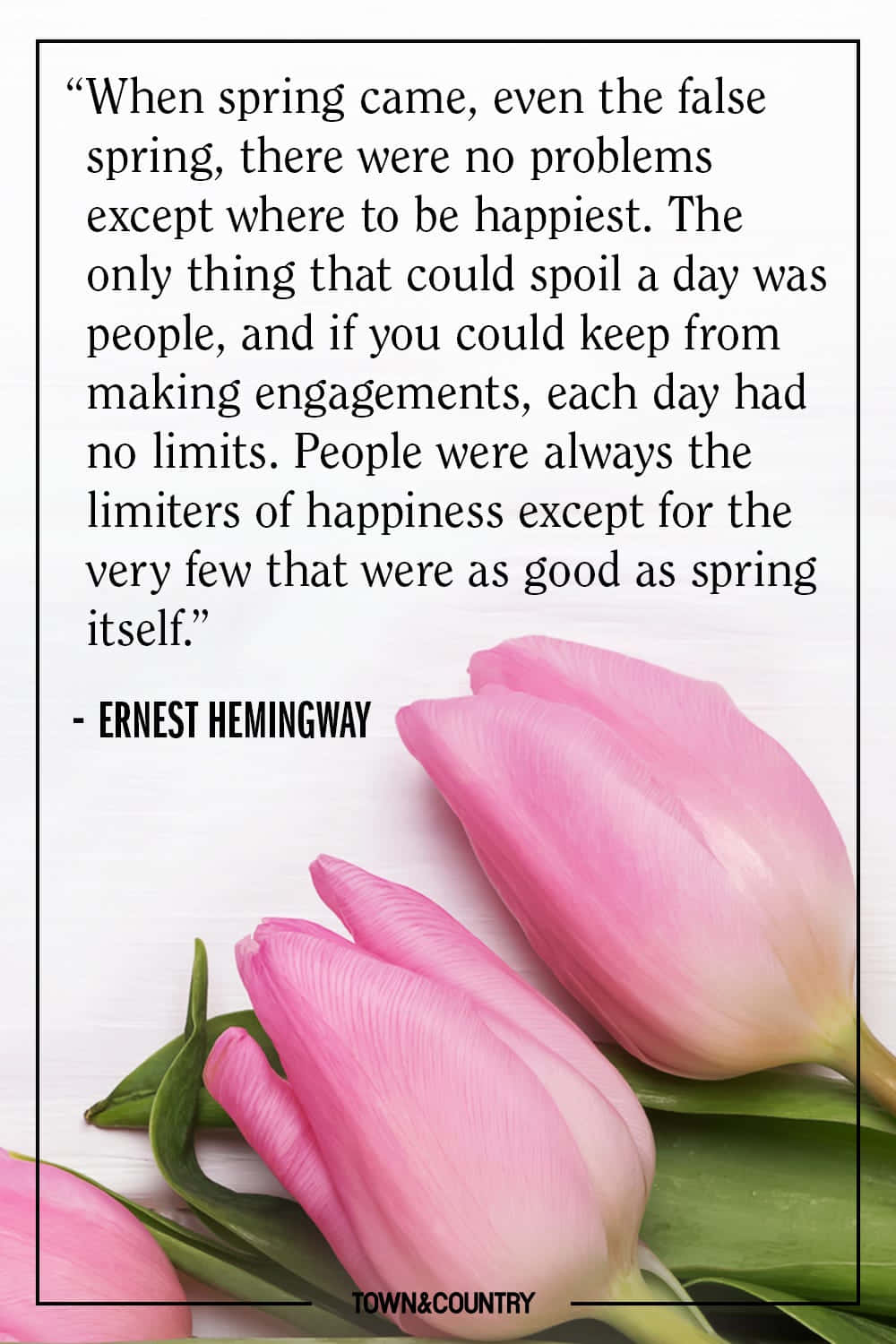 Pink tulips, Hemingway quote, white textured background, HD Phone Wallpaper
