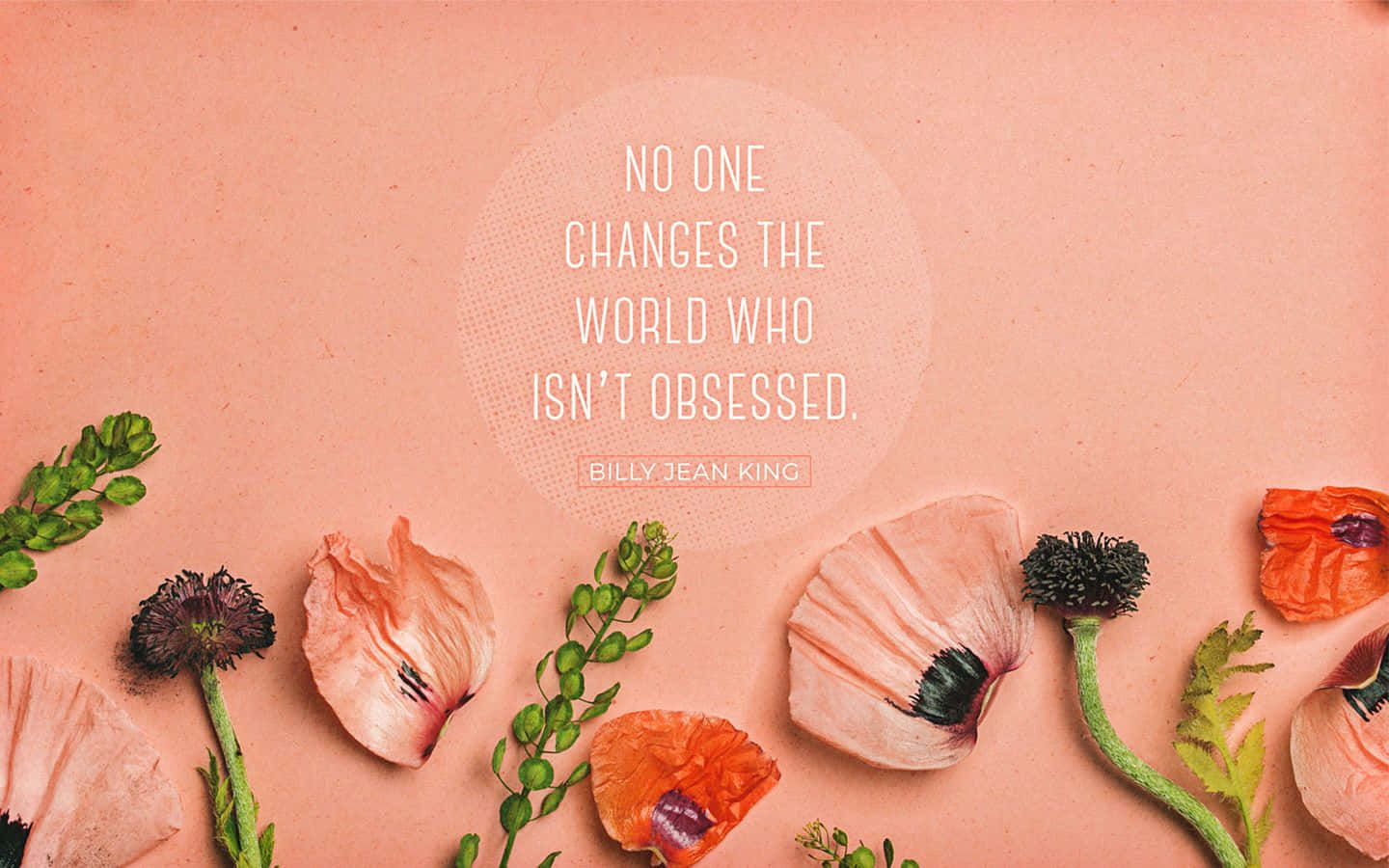 spring quotes, soft pink poppy petals, green stems, HD Desktop Wallpaper
