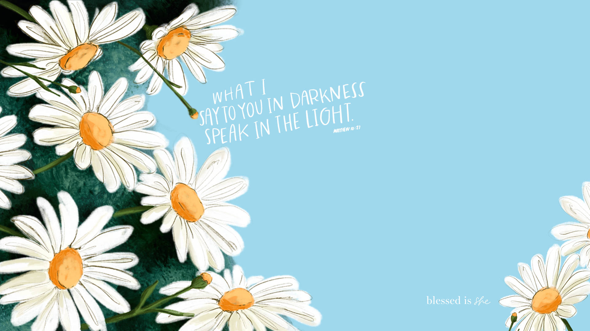 white daisies, orange centers, soft blue sky, Full HD Desktop Wallpaper