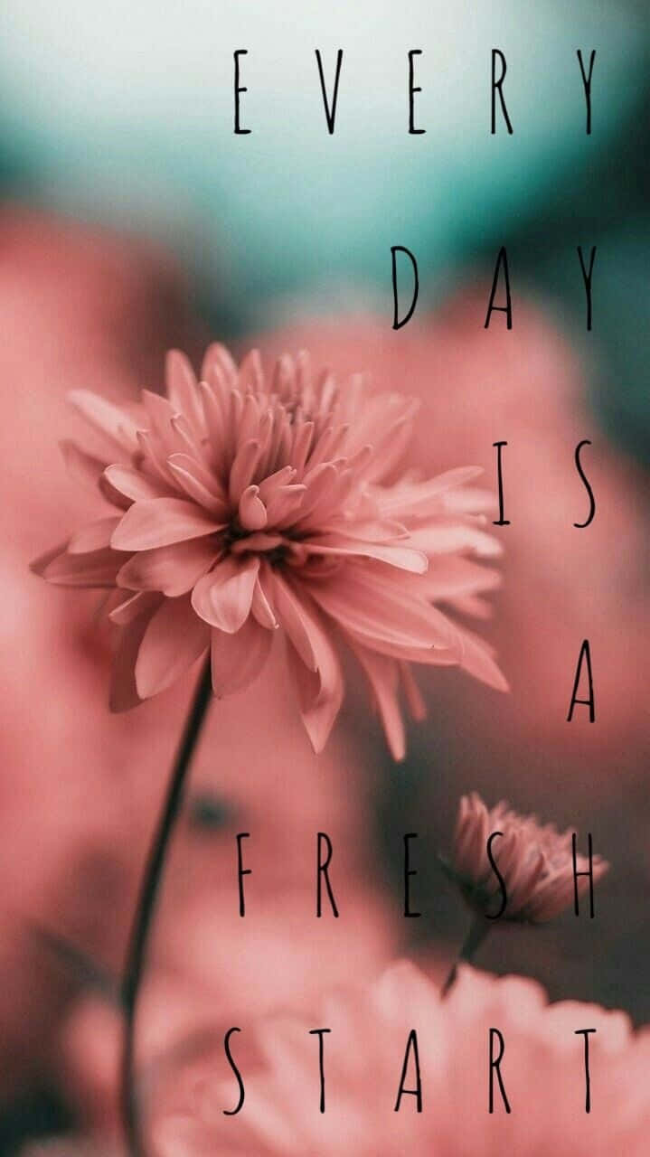 spring quotes, blossoming tree, soft pink dahlia, HD Phone Wallpaper