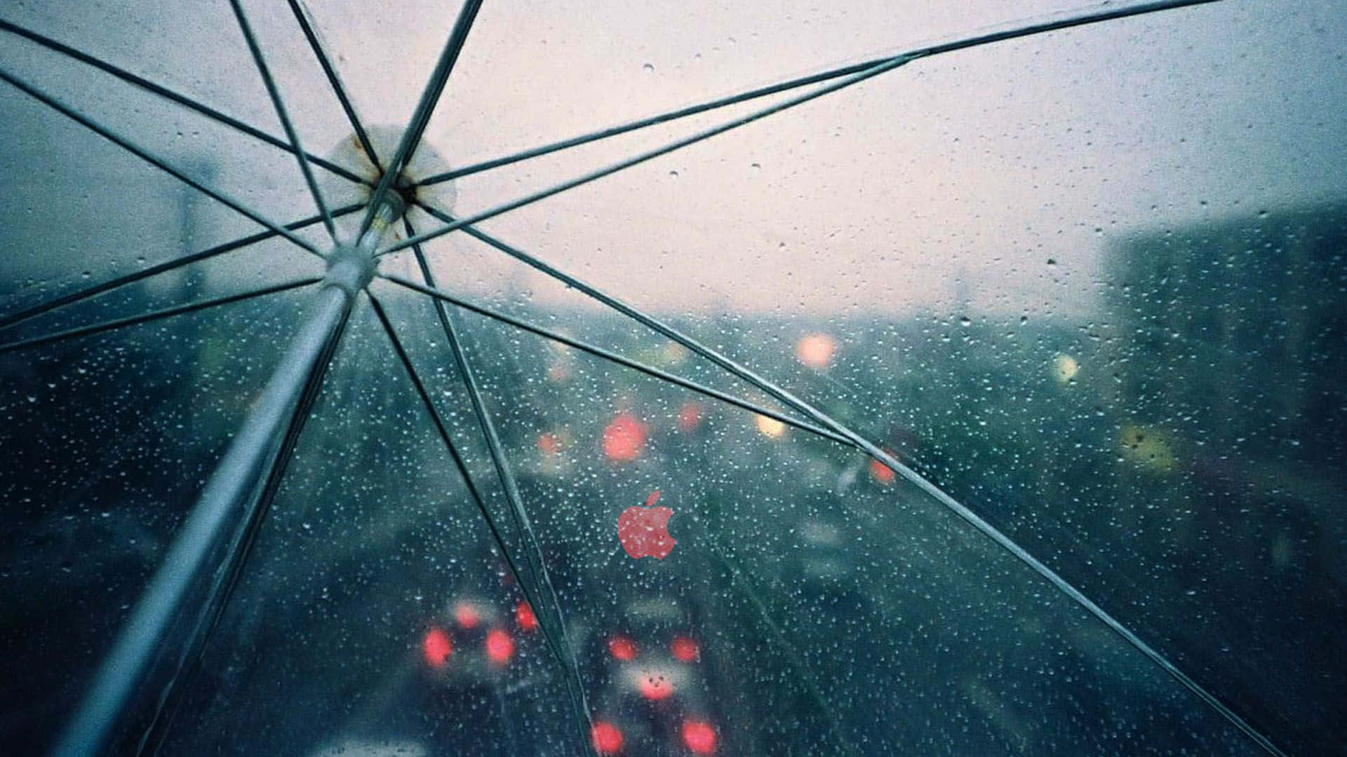 Spring Rain, 1920 x 1080, transparent umbrella canopy, Full HD Desktop Wallpaper