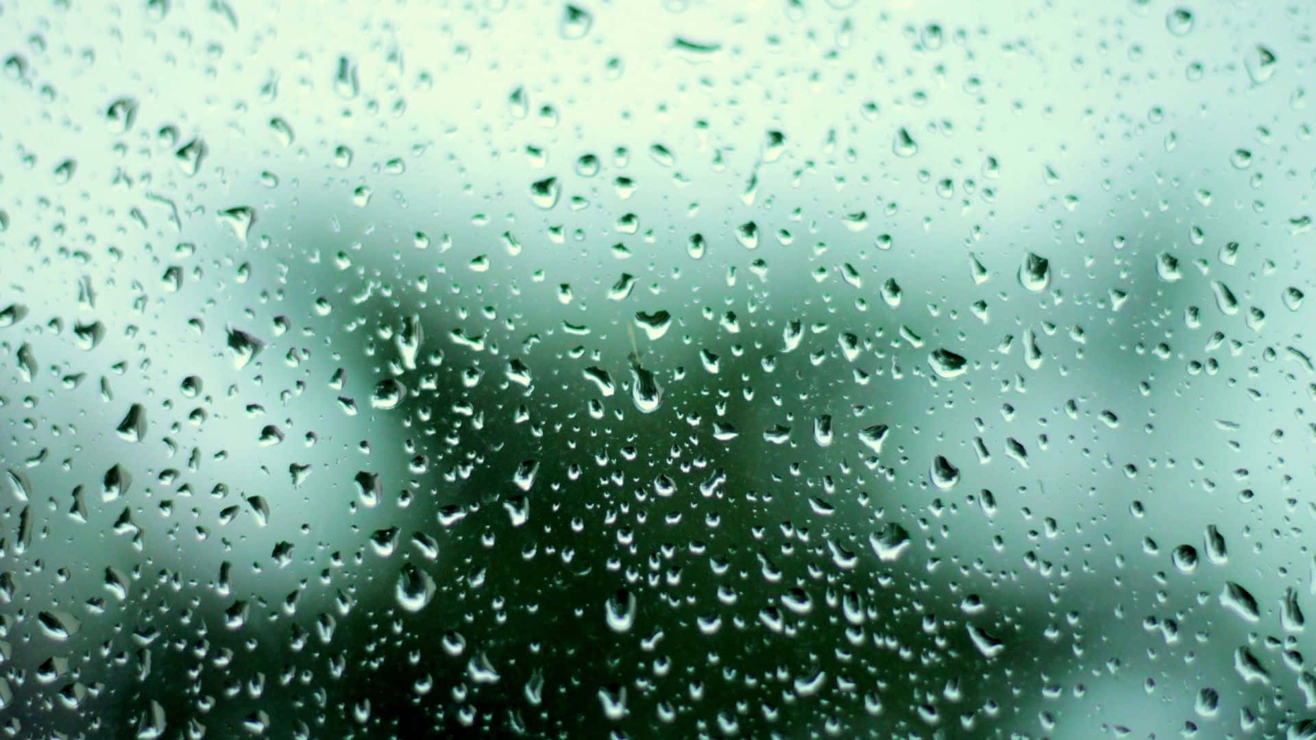 Spring Rain, 1920 x 1080, glass surface, Full HD Desktop Wallpaper