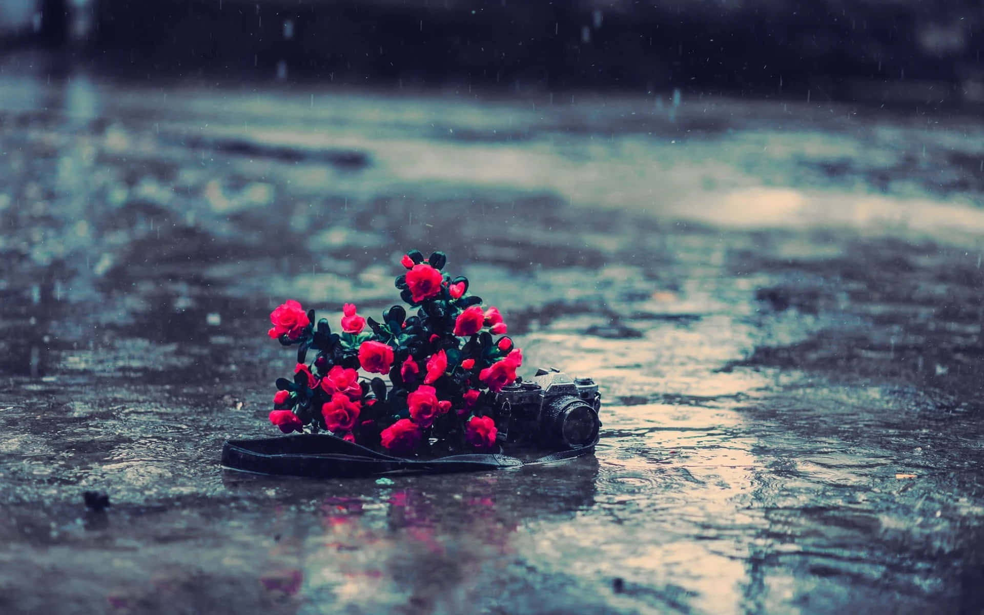 spring rain, 1920 x 1200, vintage camera, Full HD Desktop Wallpaper