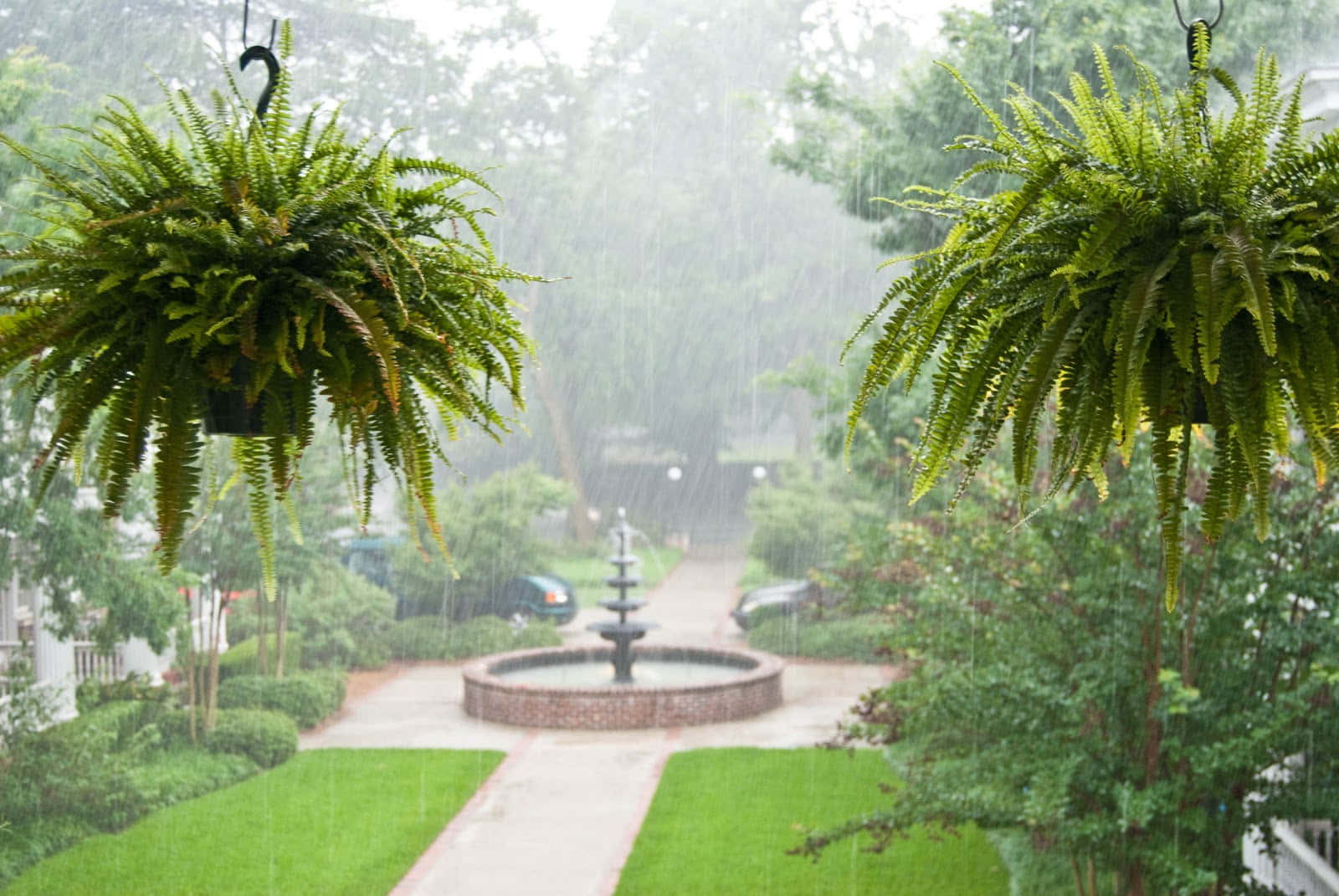 Spring Rain, lush green forest, stone fountain, HD Desktop Wallpaper