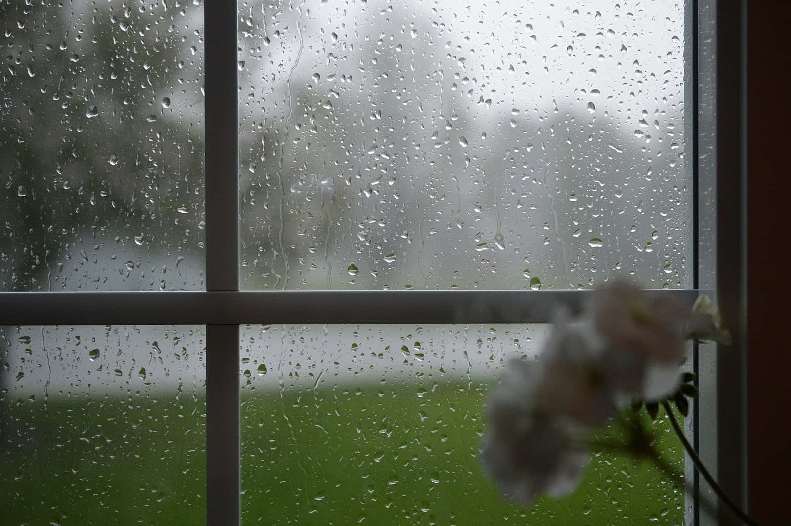 Spring Showers, raindrops, paneled window, HD Desktop Wallpaper