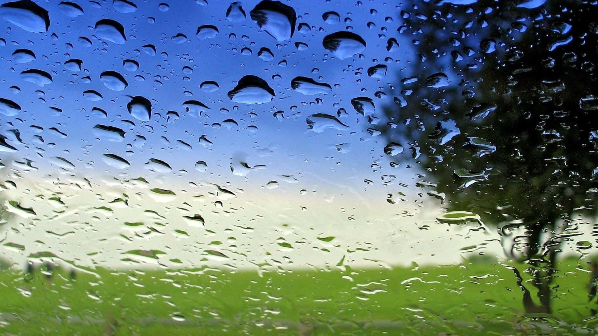 Spring Rain, 1920 x 1080, car window, Full HD Desktop Wallpaper