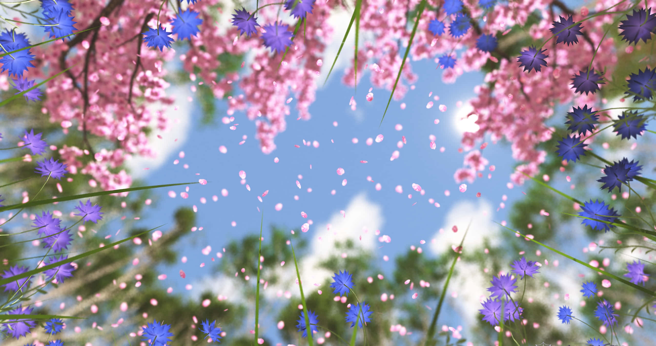 spring showers, rain showers, rainbow, 2K Desktop Wallpaper