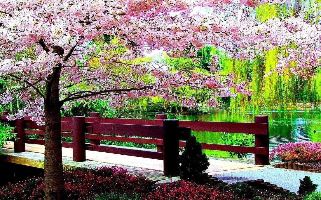 Spring River