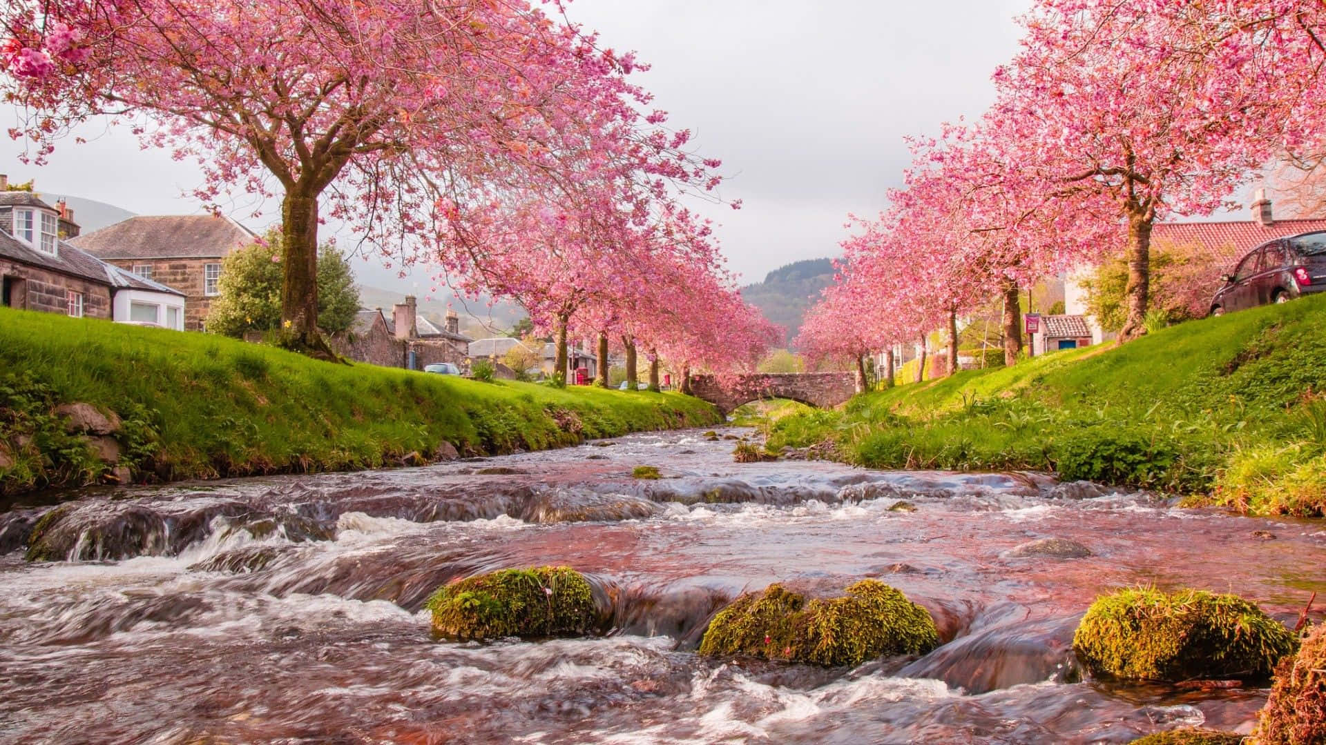 Spring River, 1920 x 1080, mossy rocks, Full HD Desktop Wallpaper