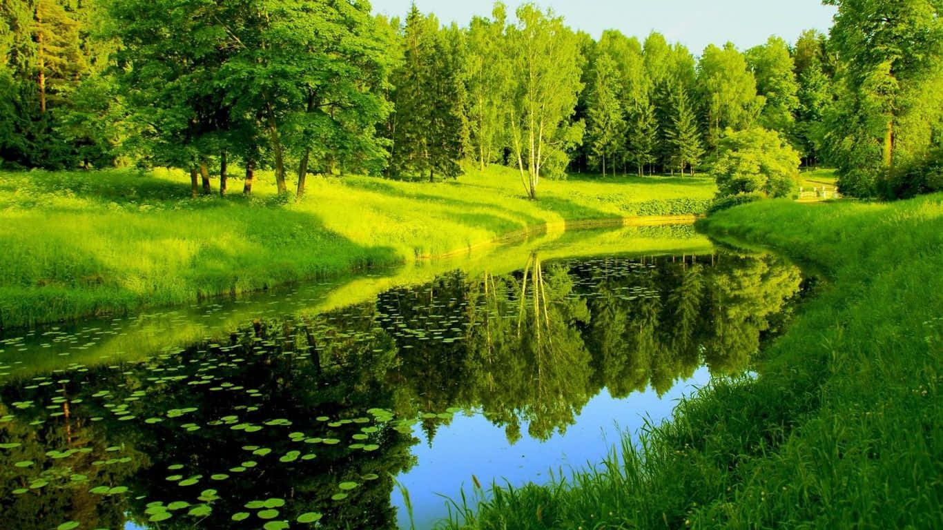 Spring River, sunlit creek, lush green meadows, HD Desktop Wallpaper