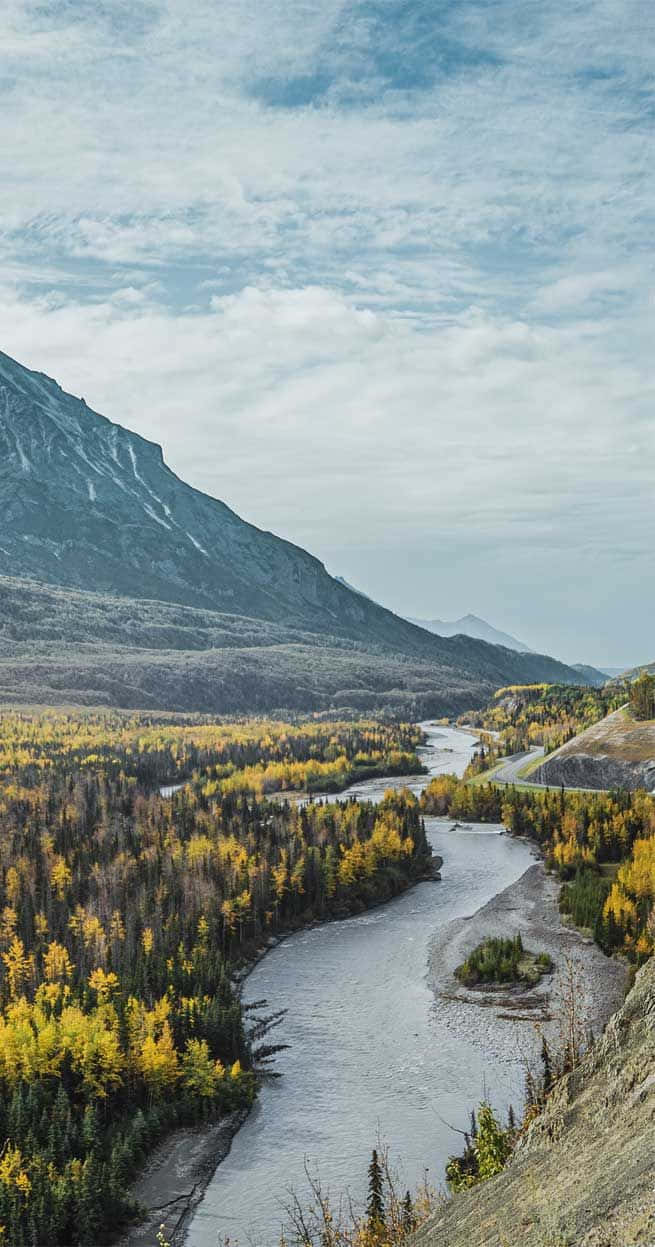 Spring River, golden autumn trees, towering mountains, SD Phone Wallpaper