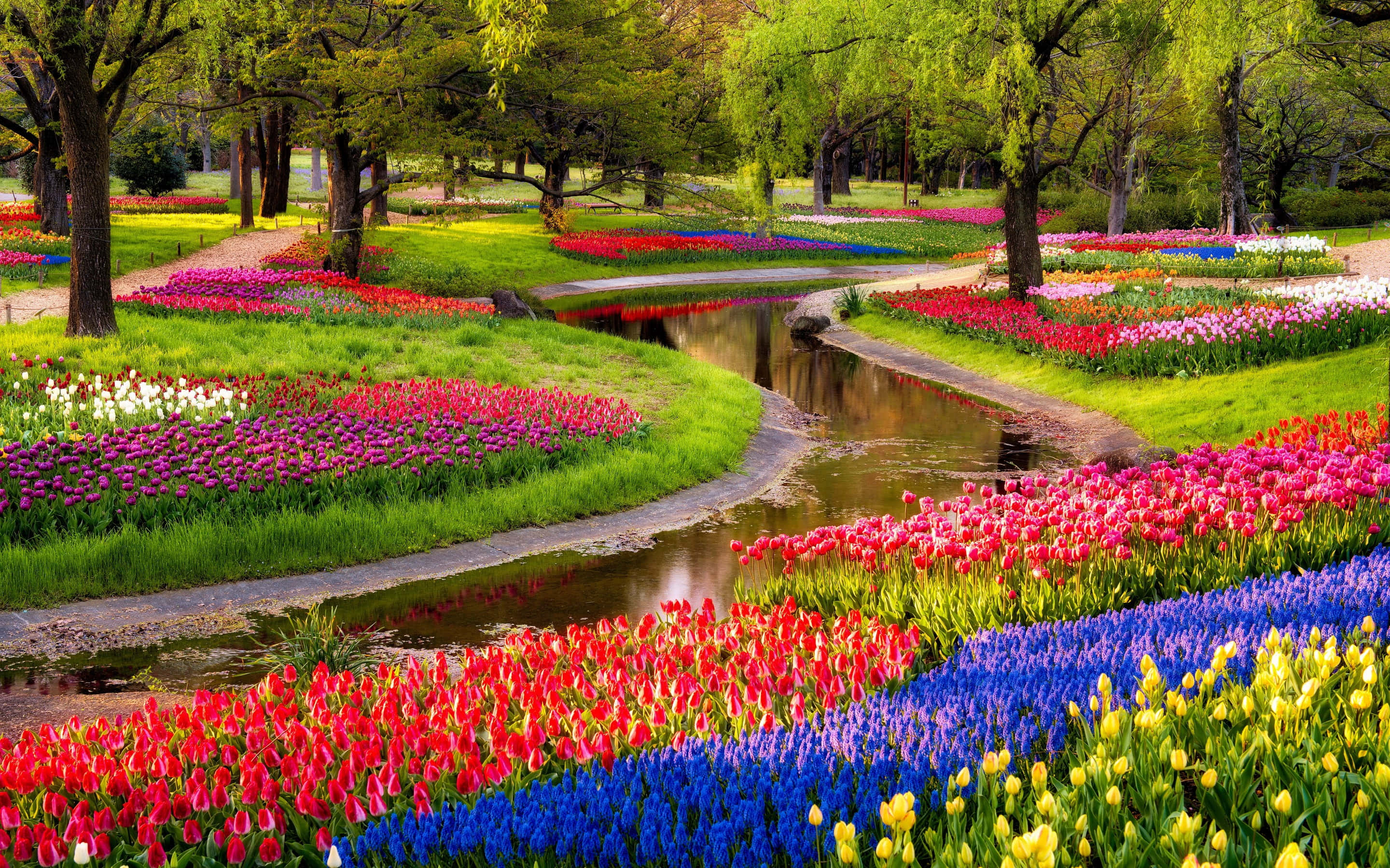 Spring River, 2880 x 1800, lush green forest, 2K Desktop Wallpaper