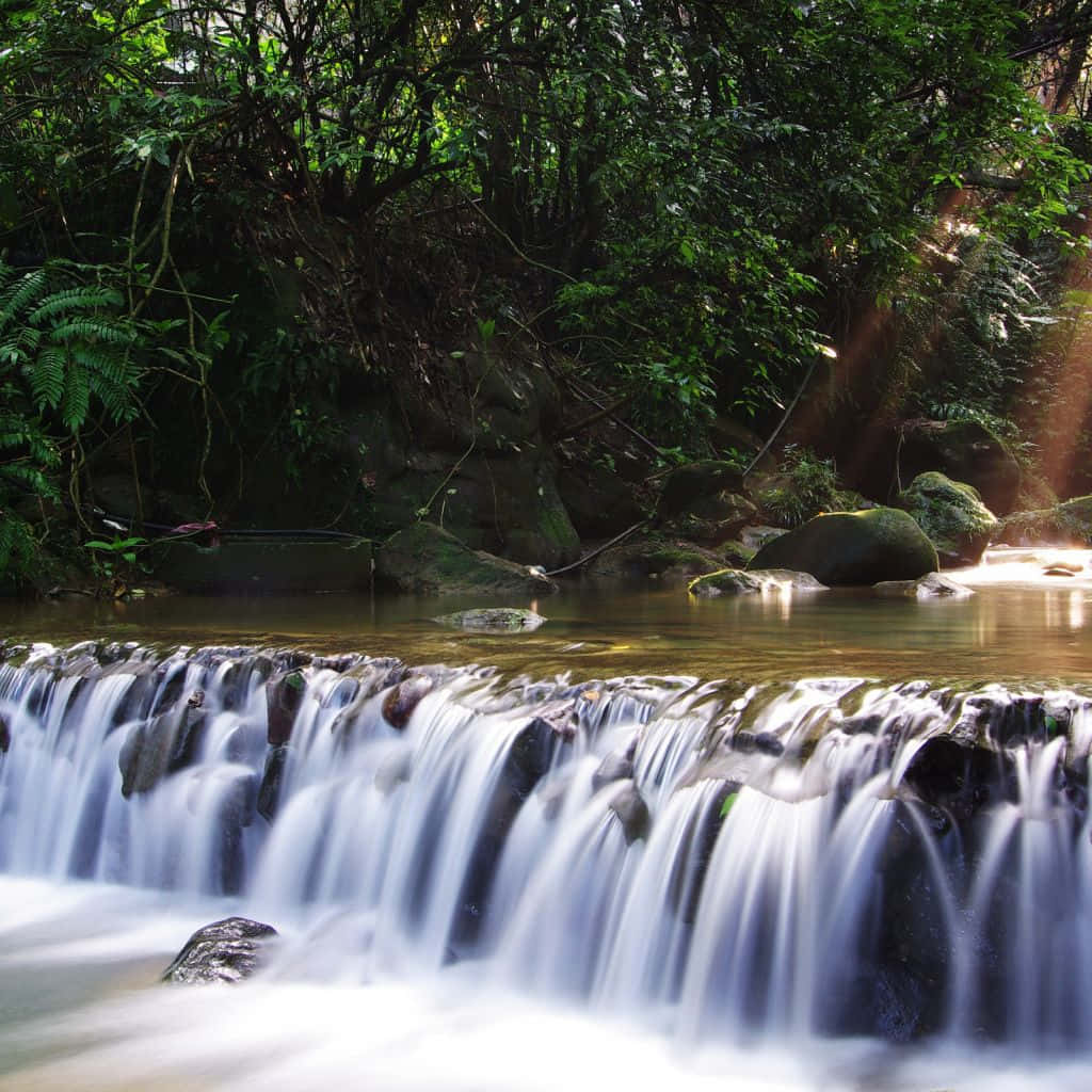 Spring River, 1024 x 1024, forest stream, SD Desktop Wallpaper