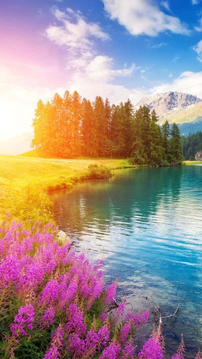 Spring River, turquoise lake, golden grass, SD Phone Wallpaper