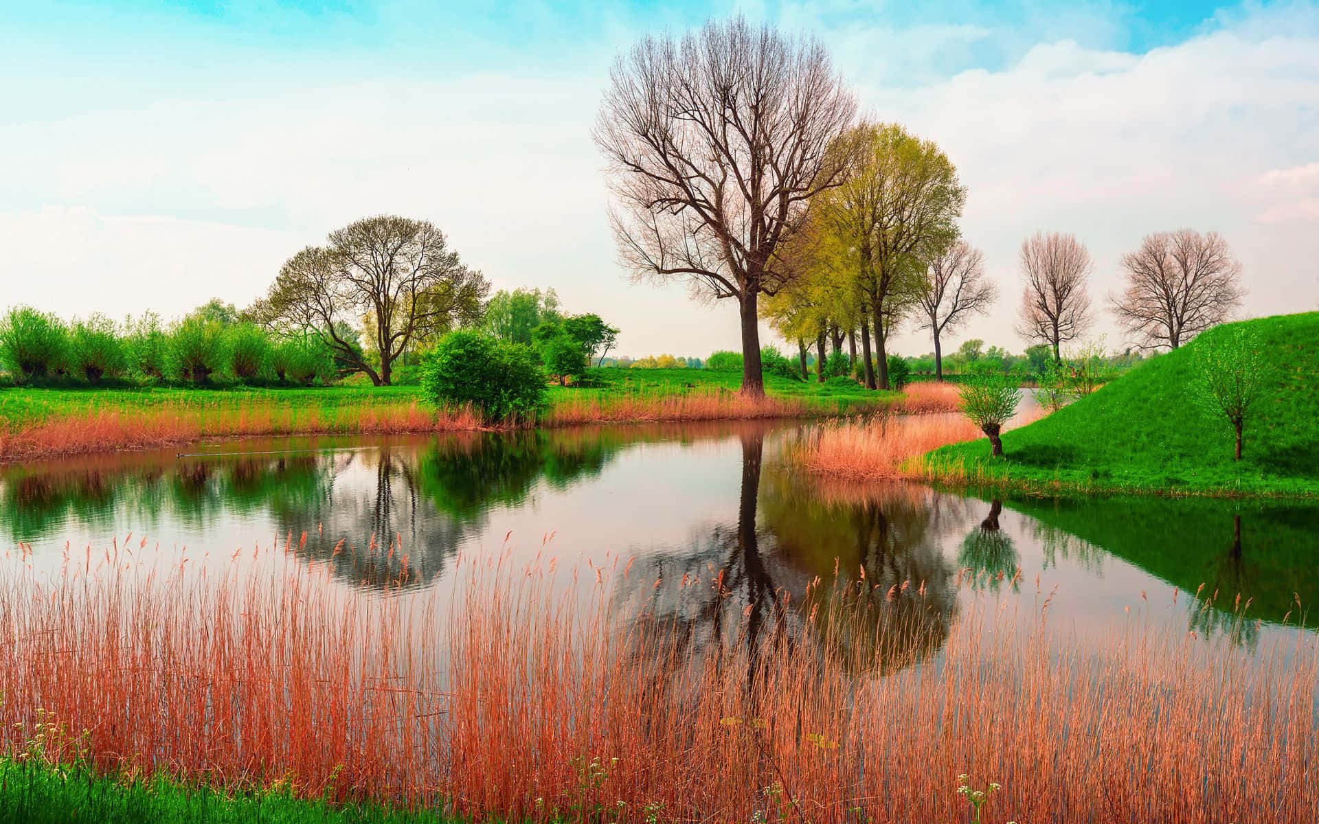 Spring River, pond, bare and budding trees, Full HD Desktop Wallpaper