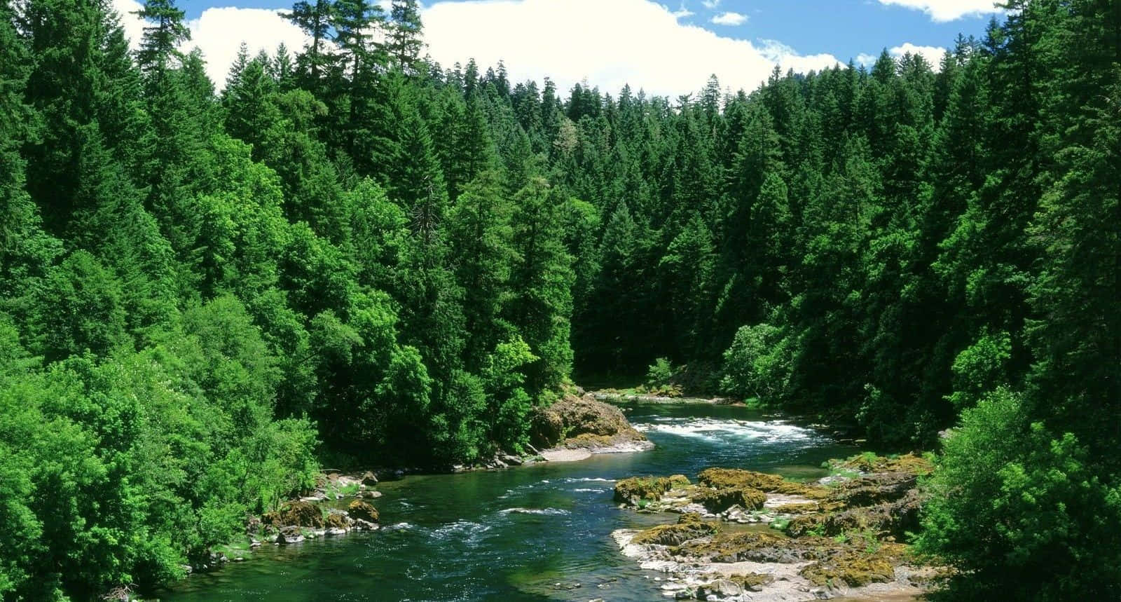 Spring River, 1600 x 859, vibrant river, HD Desktop Wallpaper