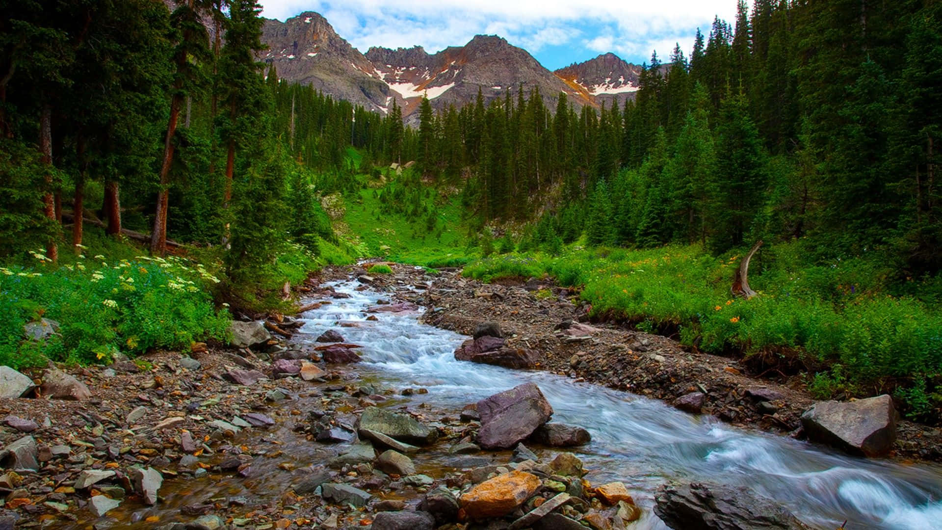 Spring River, mountain stream, lush green forest, Full HD Desktop Wallpaper