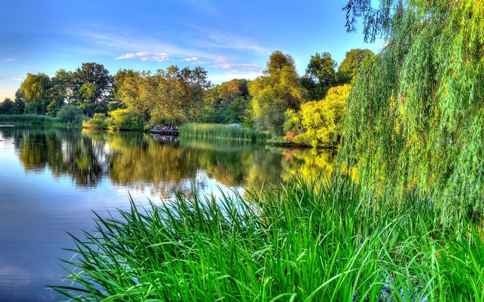 Spring River, vibrant green reeds, calm lake, HD Desktop Wallpaper