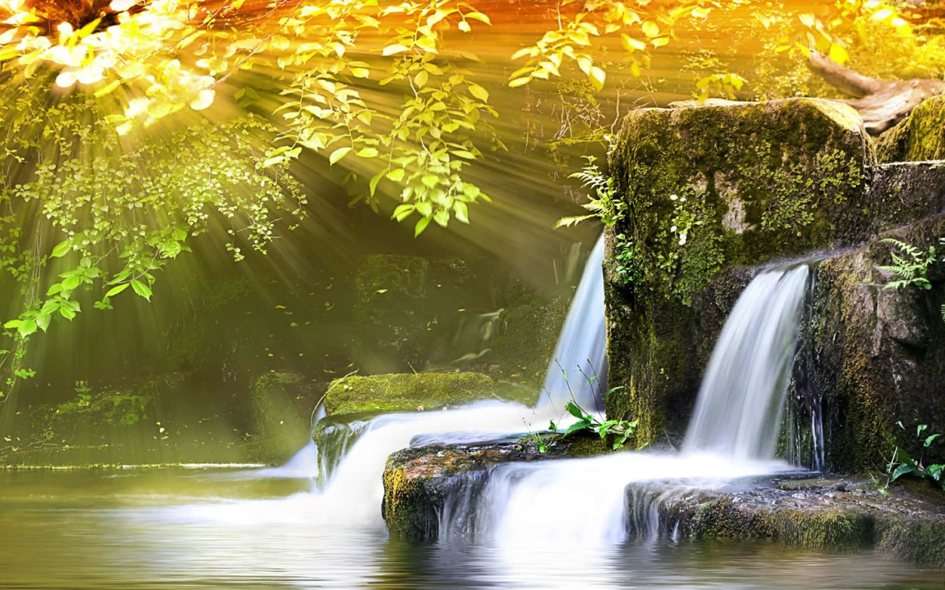 Spring River, golden sunlight, lush green leaves, Full HD Desktop Wallpaper