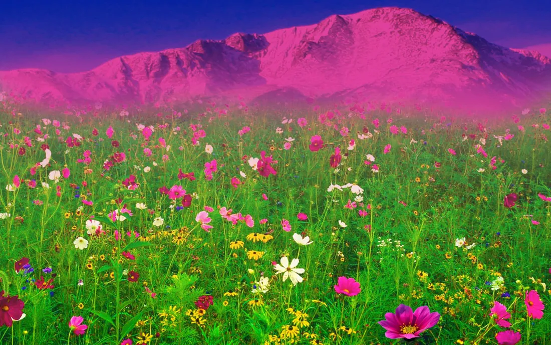 Spring Sky
